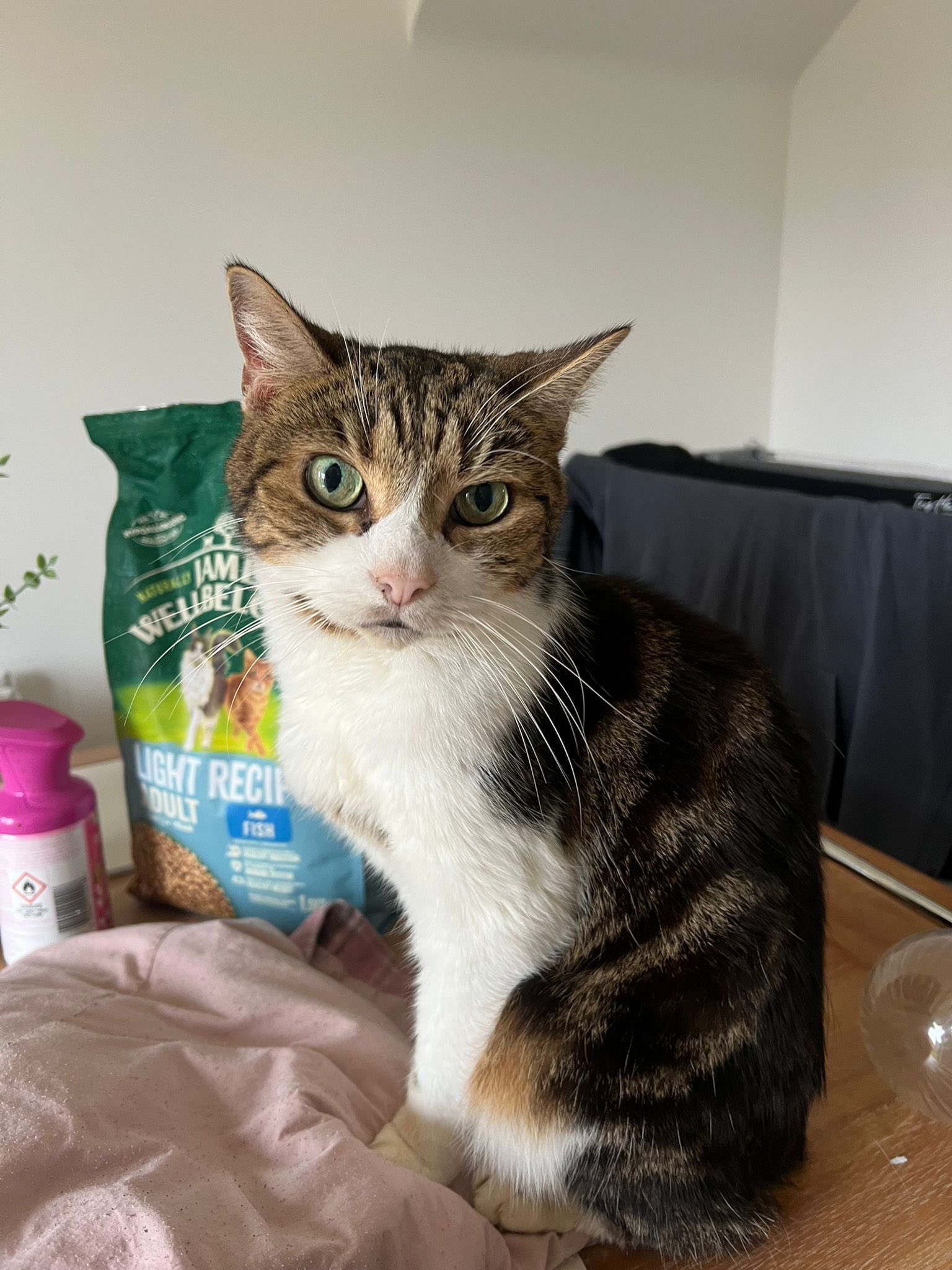 556847157_1447380903541884_484834638836180365_n