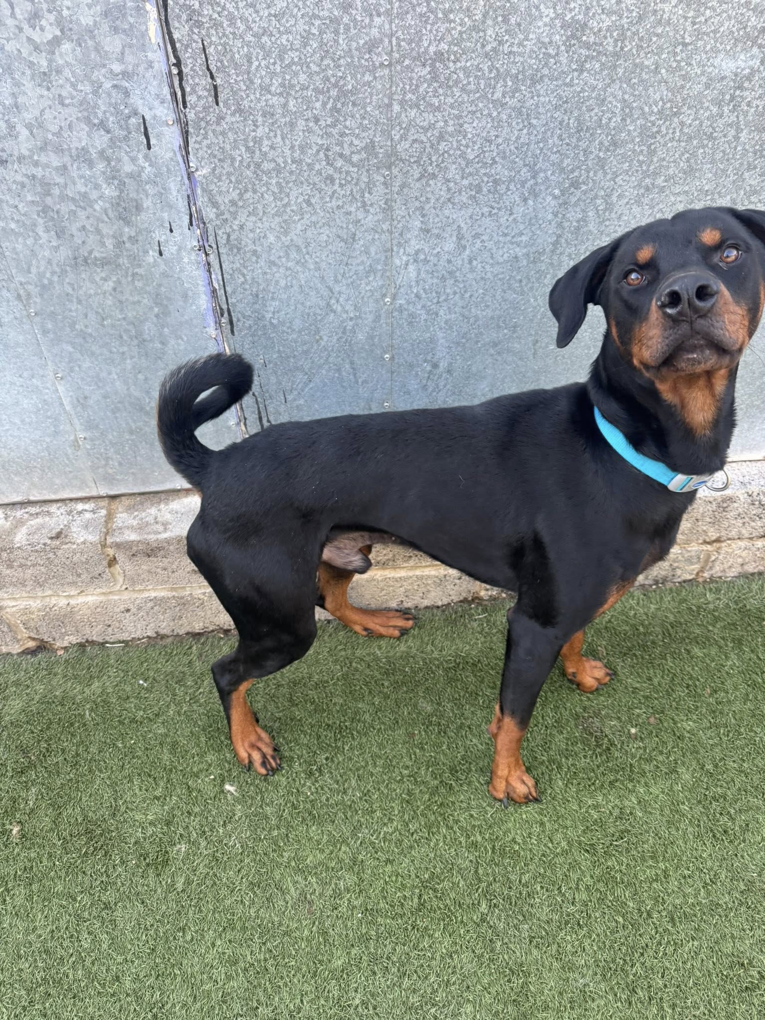 556906680_1450146519931989_8289034239138289392_n