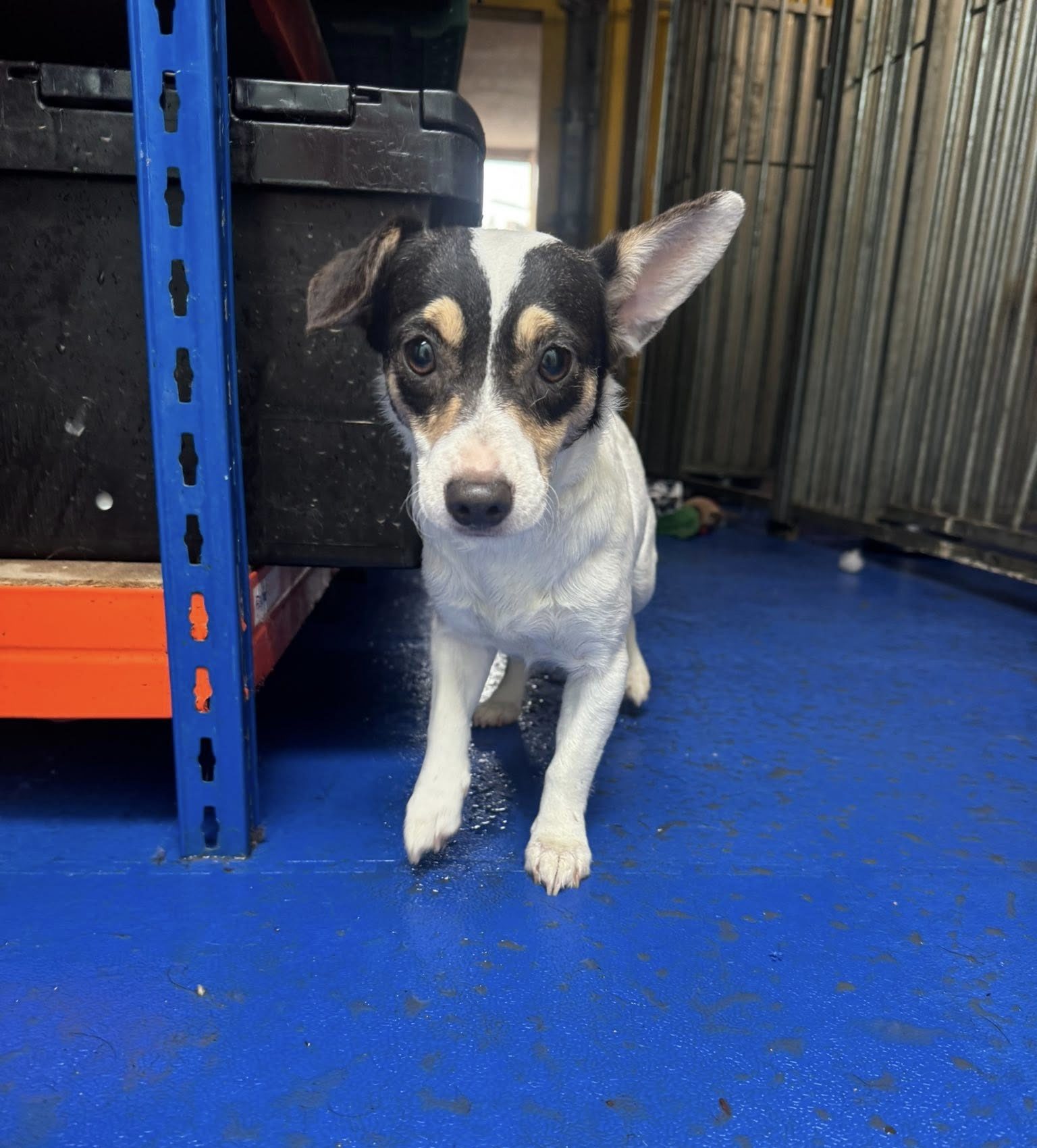 557275404_1449463043333670_2335711087707798979_n