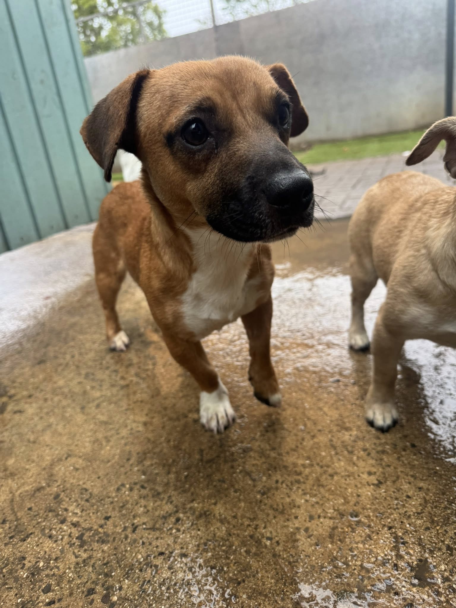 557356908_1449463033333671_7488782992714889980_n