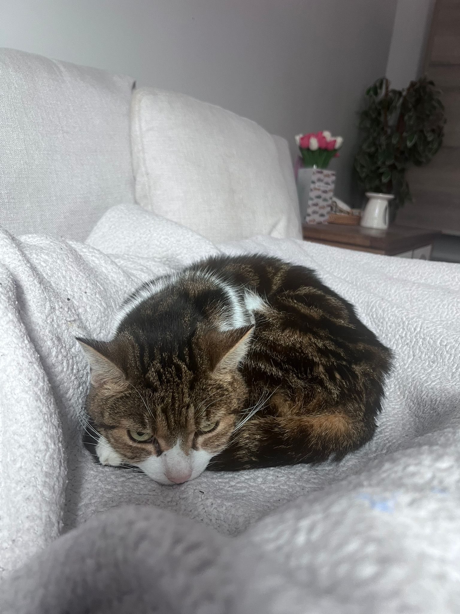 557393010_1447380953541879_2446836527444527348_n