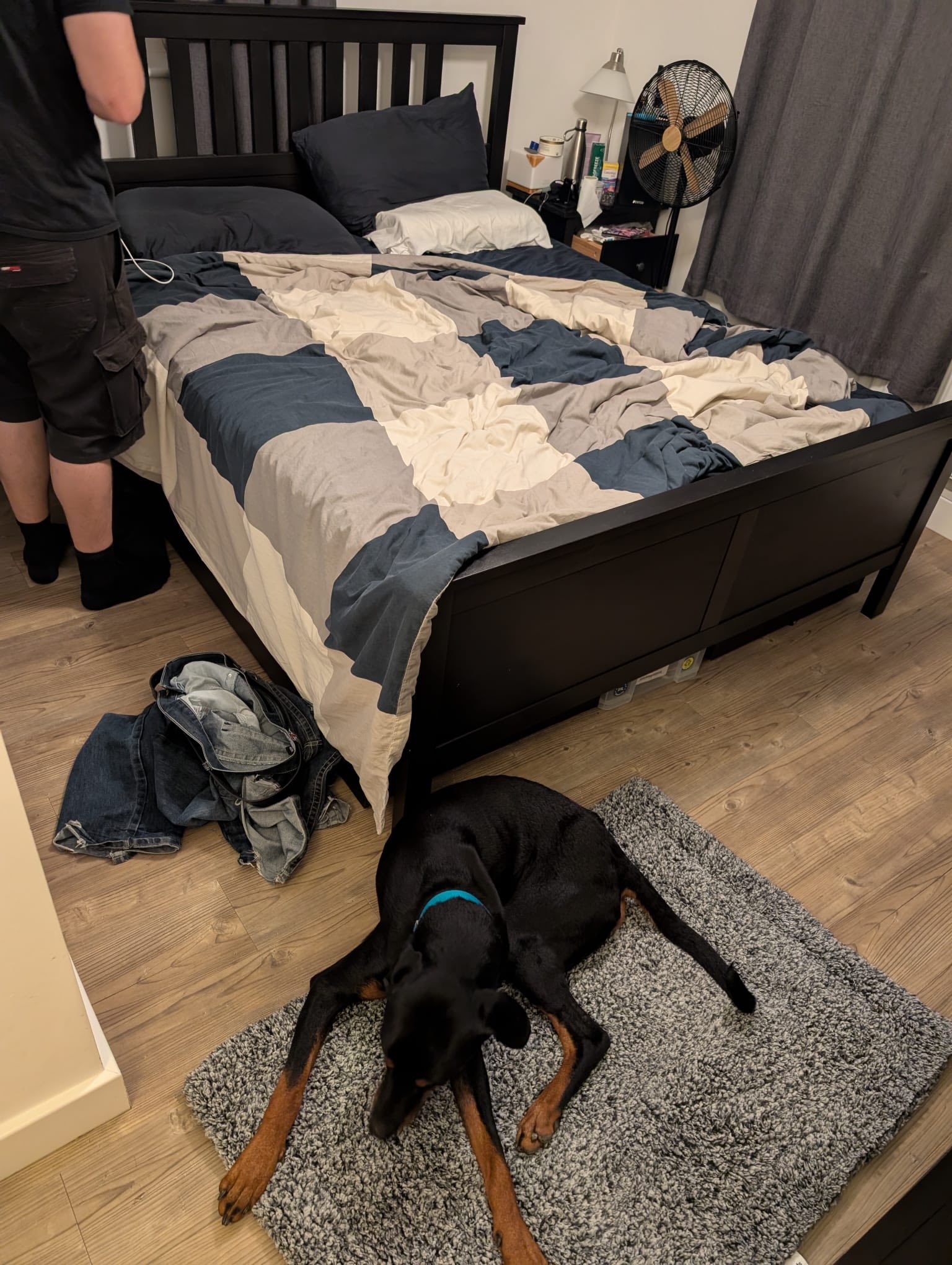 557721986_1455301742749800_8526016452828082822_n