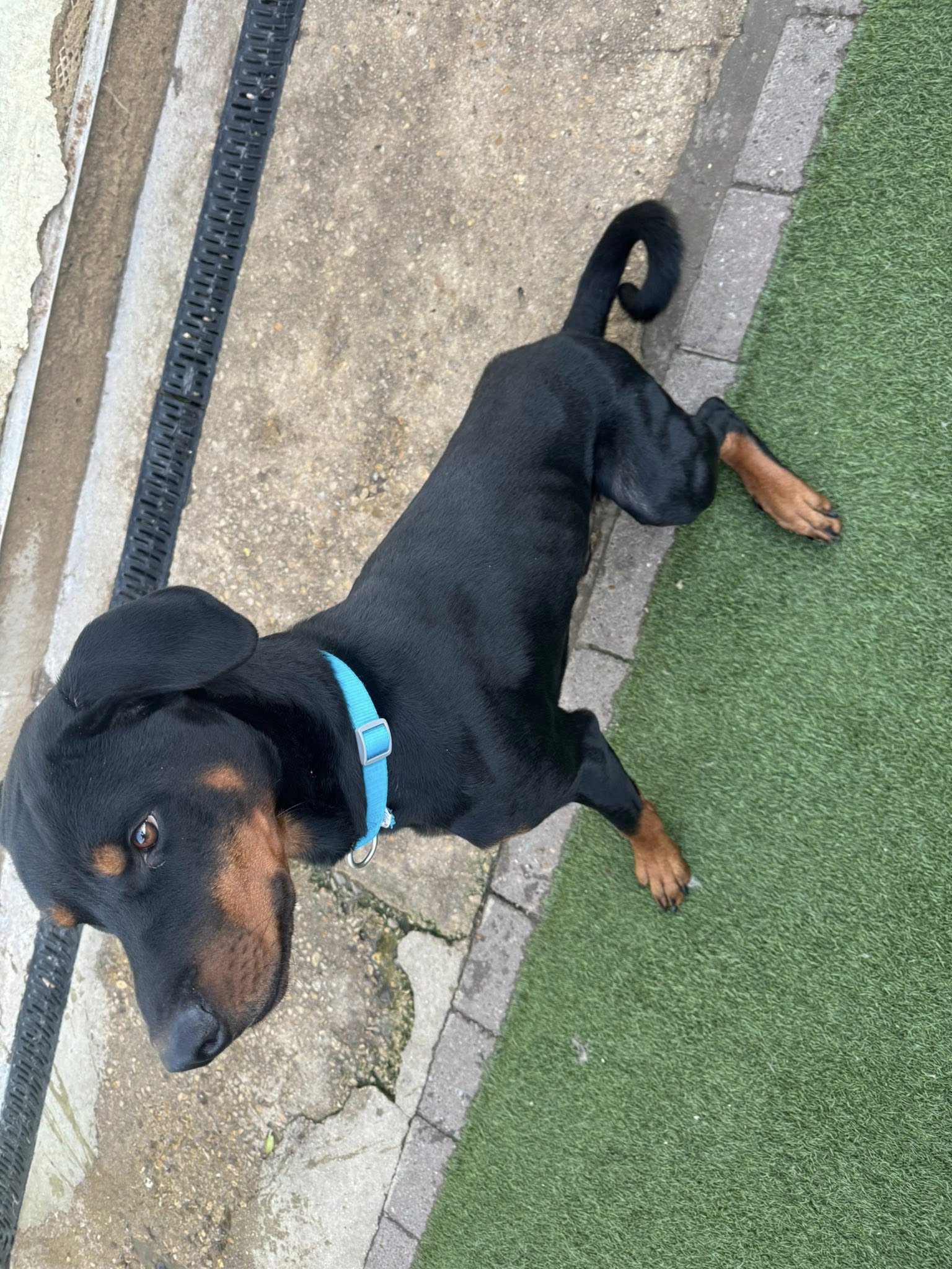 557968855_1450146499931991_4654613024917731147_n