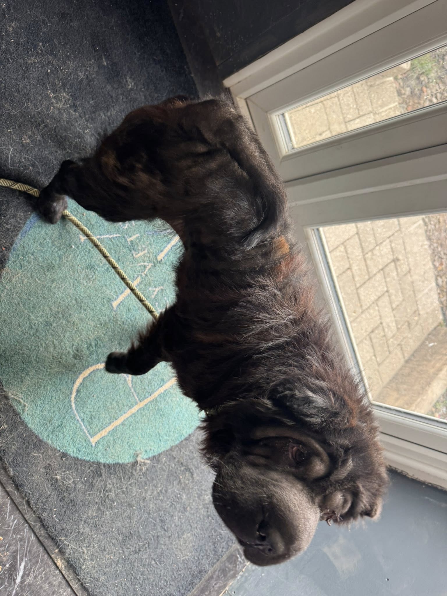 557983842_1455698969376744_3455044703226129219_n