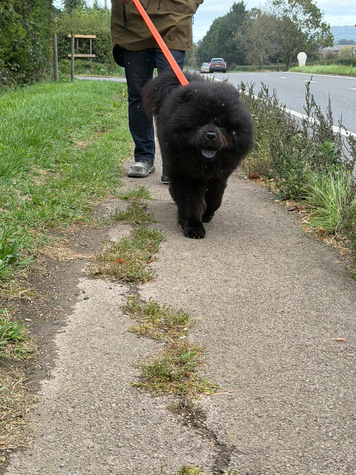 559196168_1453446679601973_2629160979606504689_n