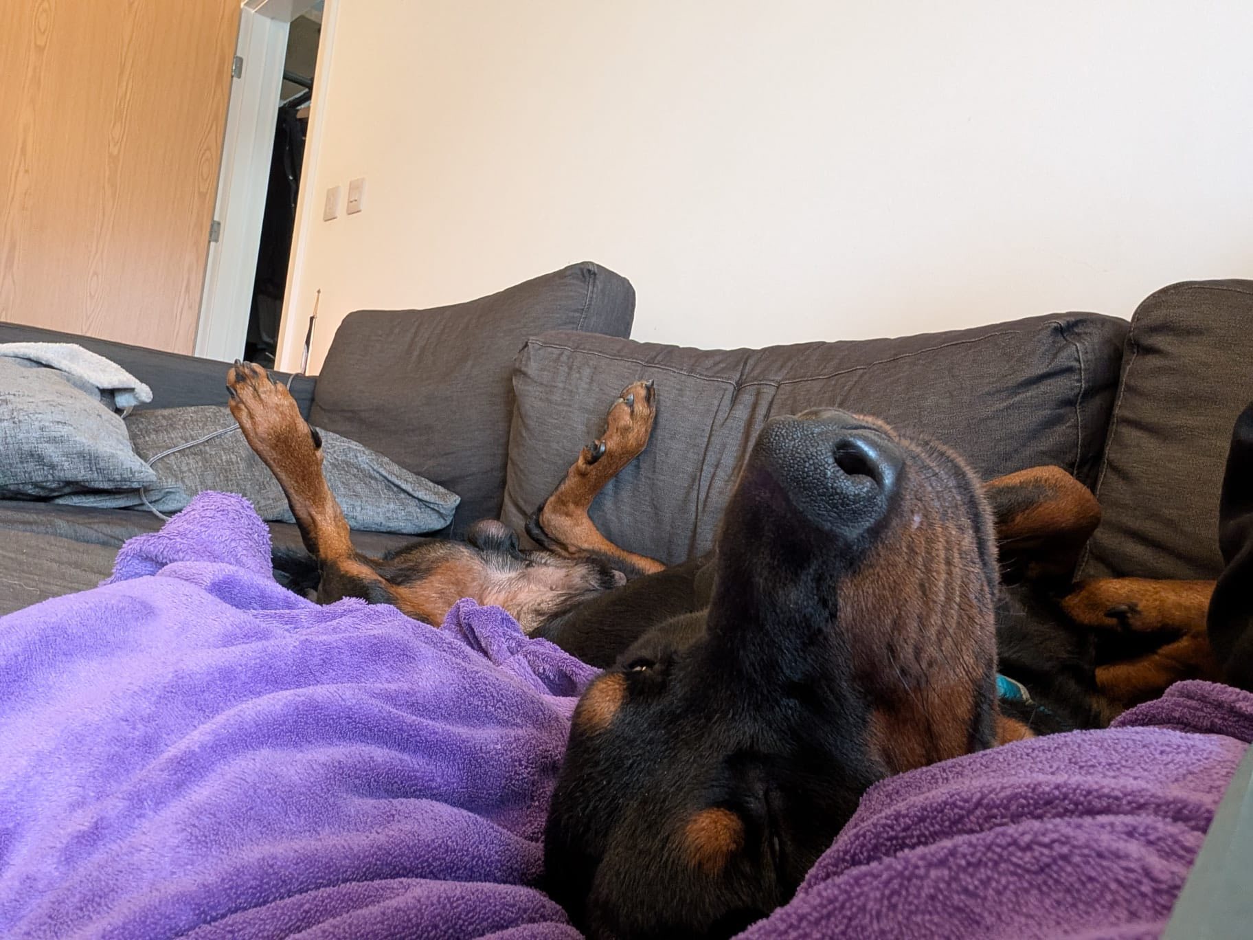 564036058_1462387148707926_1524210699861447982_n