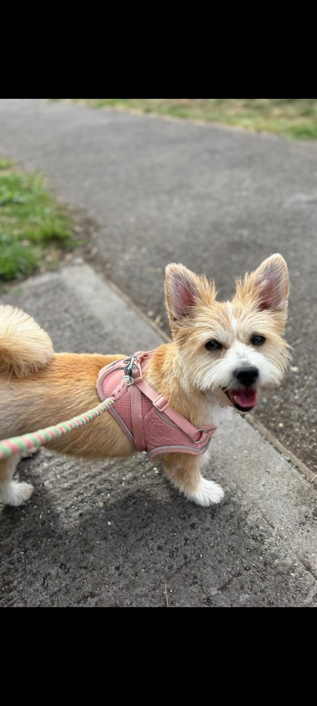 564602527_1462204722059502_6492747996356904045_n