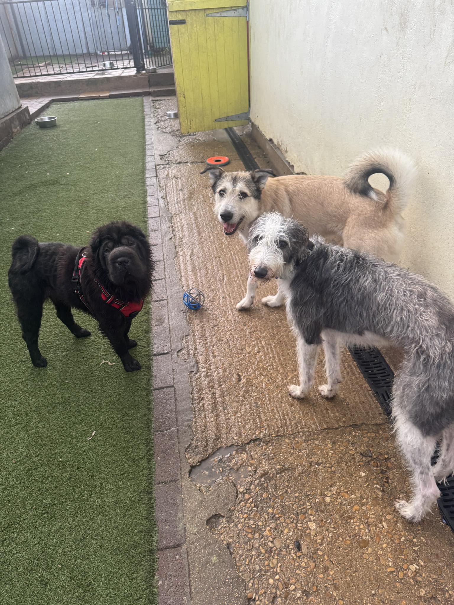 565238770_1466550271624947_1152180774249926855_n