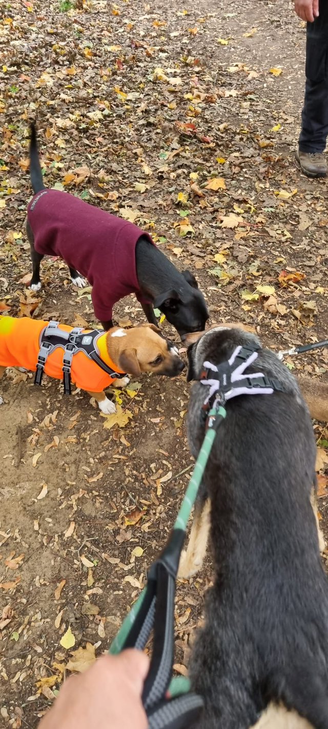 567967645_1466491561630818_4123496315203372064_n