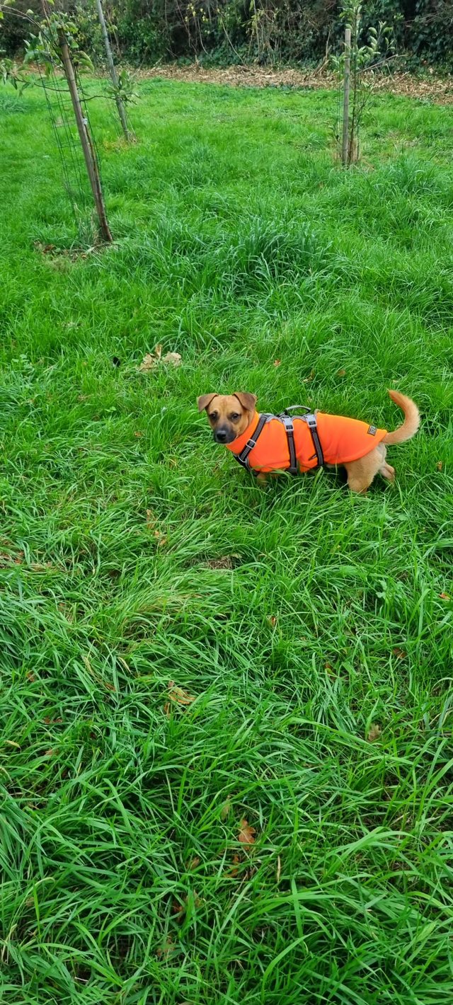 568110548_1466491501630824_2755170061299995550_n