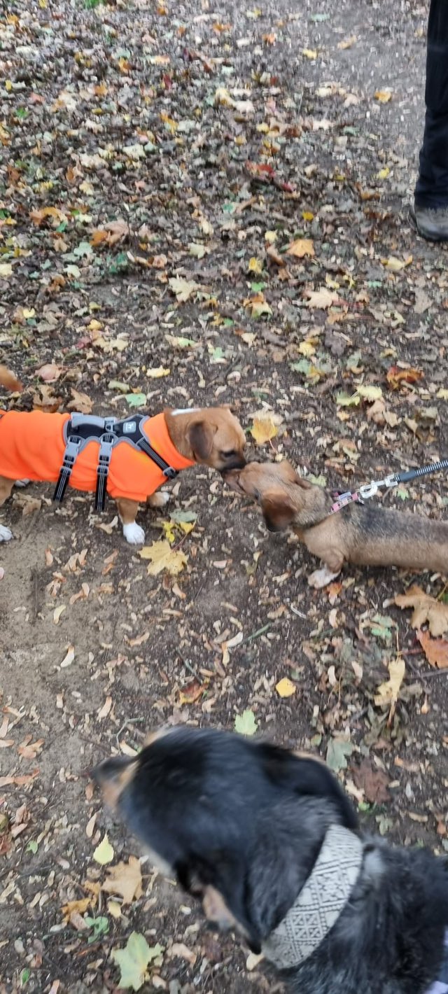 568235859_1466491718297469_5229882026974049509_n