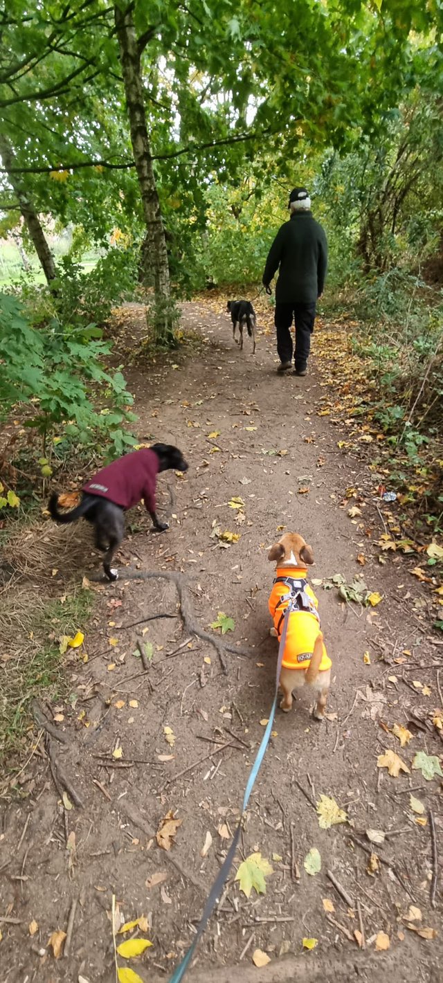 568257909_1466491581630816_2843801770263854516_n