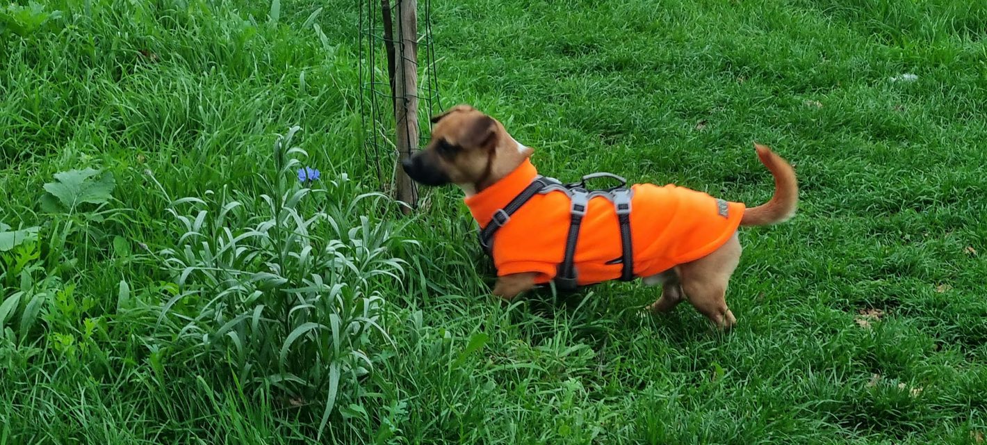 568401382_1466491698297471_506777602912350082_n