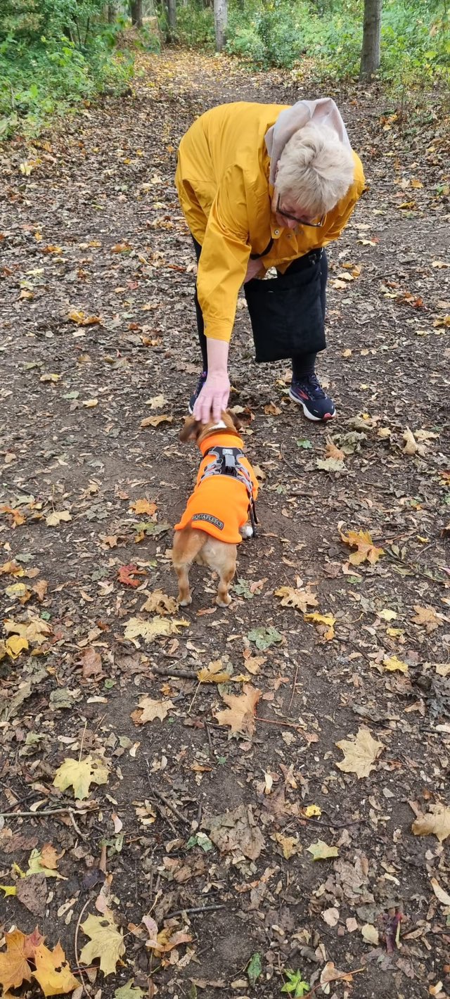 568829568_1466491628297478_2773352158492564572_n