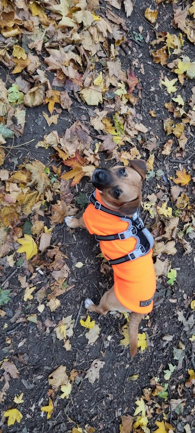 569051076_1466491654964142_4512850050417494294_n