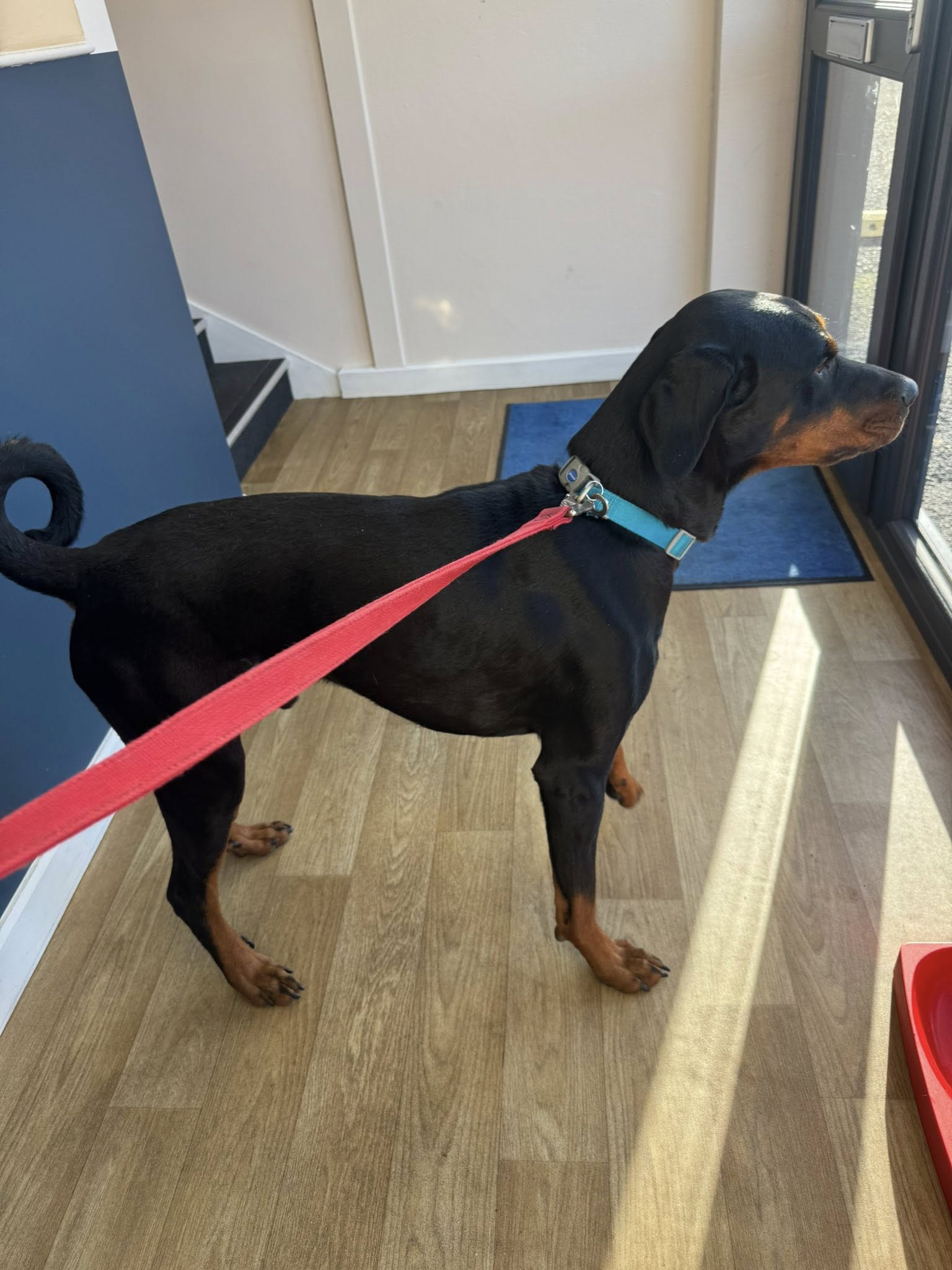 569619429_1470037937942847_1047505729584735417_n