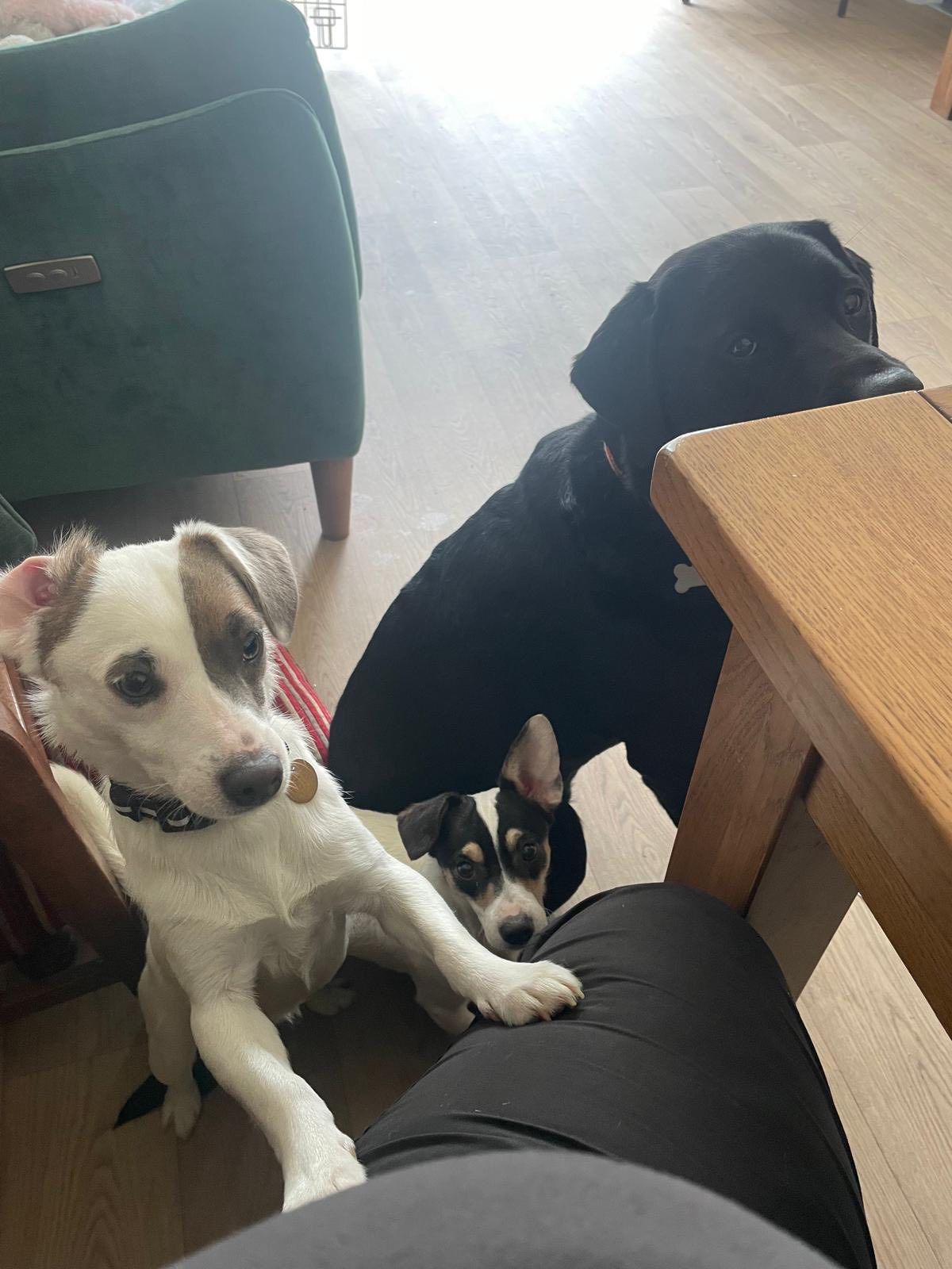 570378601_1468174011462573_2313111039064500895_n