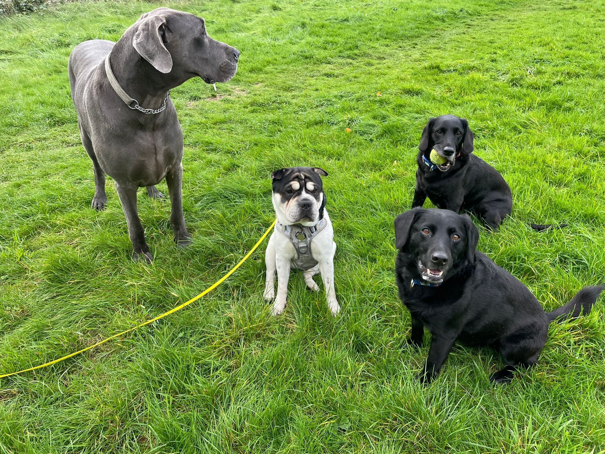 570581109_1472135041066470_2638672286900376767_n