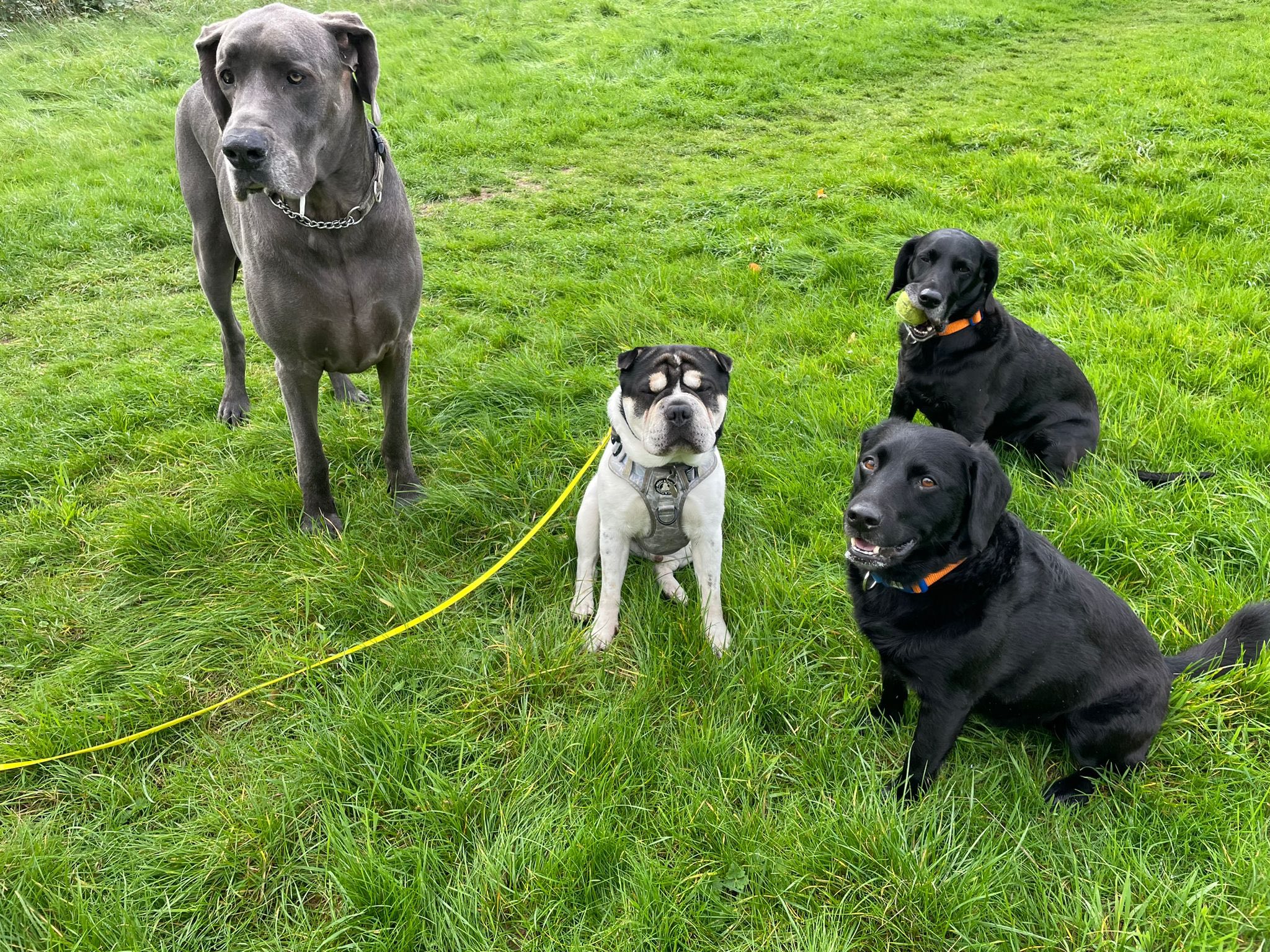 570598293_1472134997733141_6180104205377201501_n