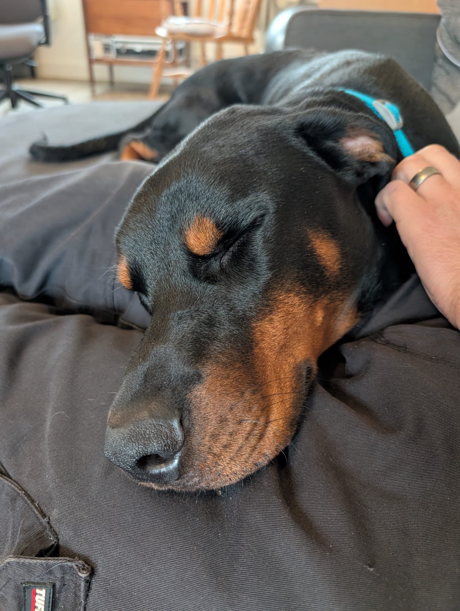 571113626_1472867950993179_2647945433360274120_n