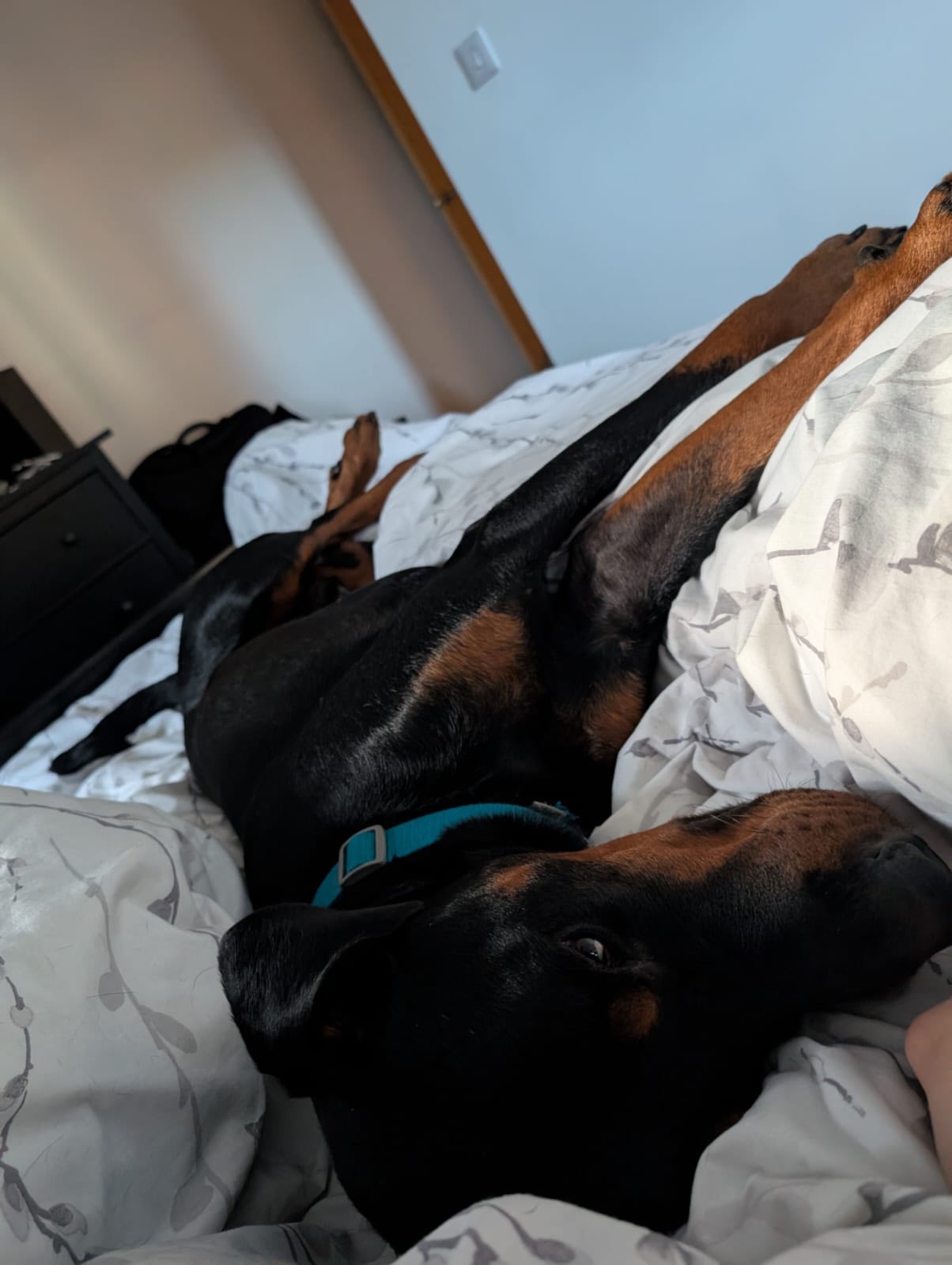 571121357_1472867997659841_6192821516006264743_n