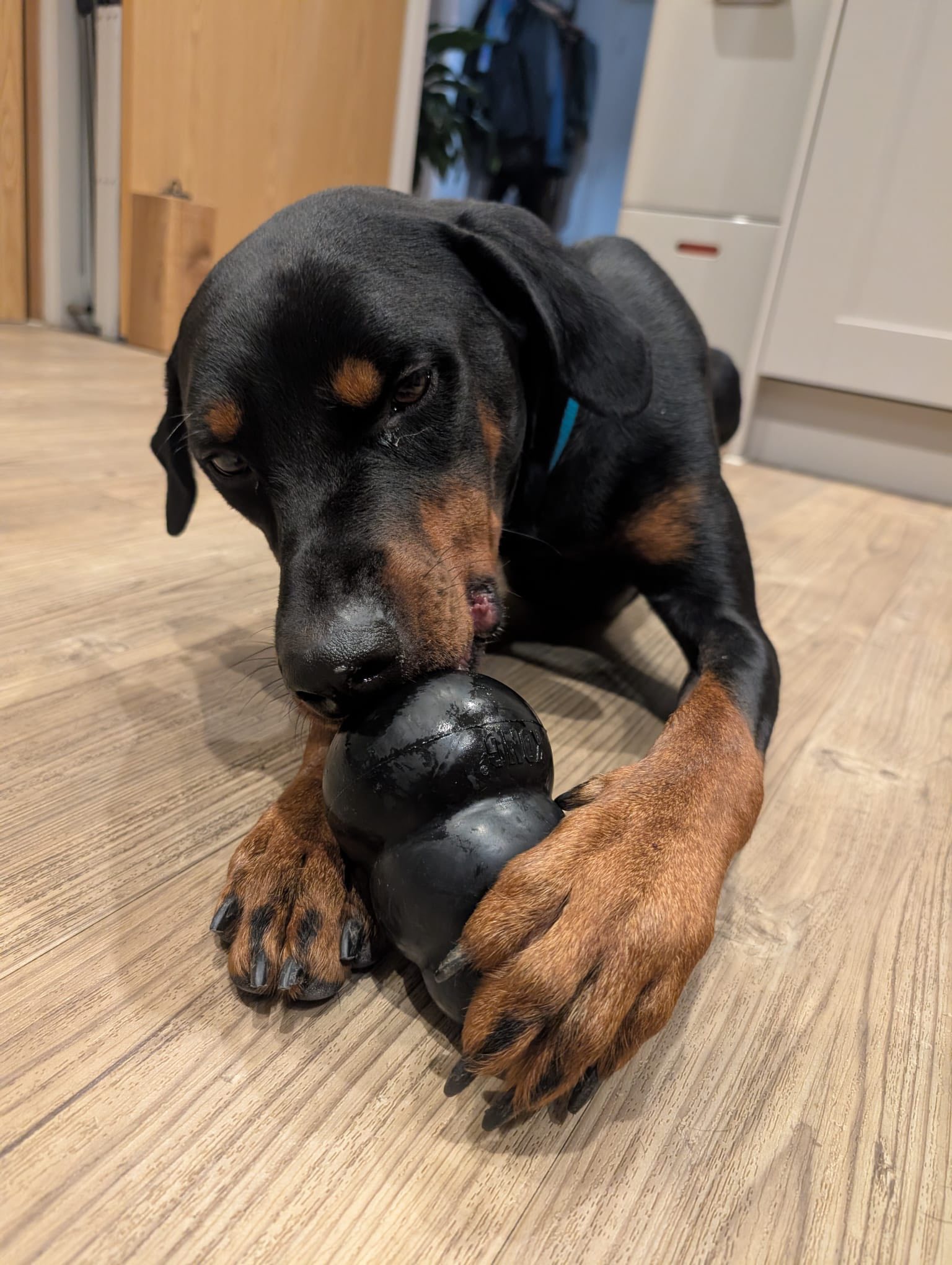 571132538_1472868027659838_2760717427205227122_n