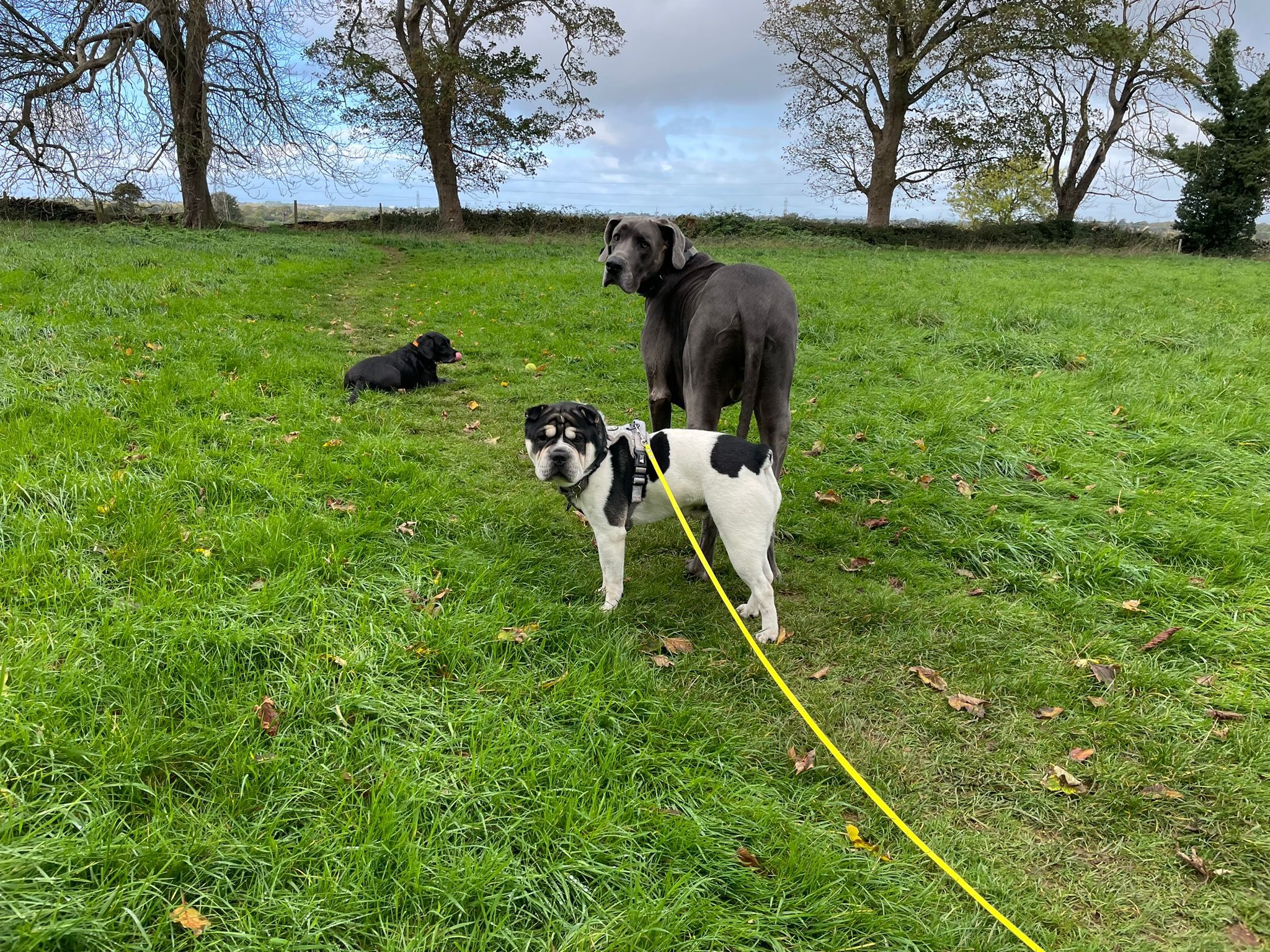 571171948_1472134991066475_7351982364002965804_n