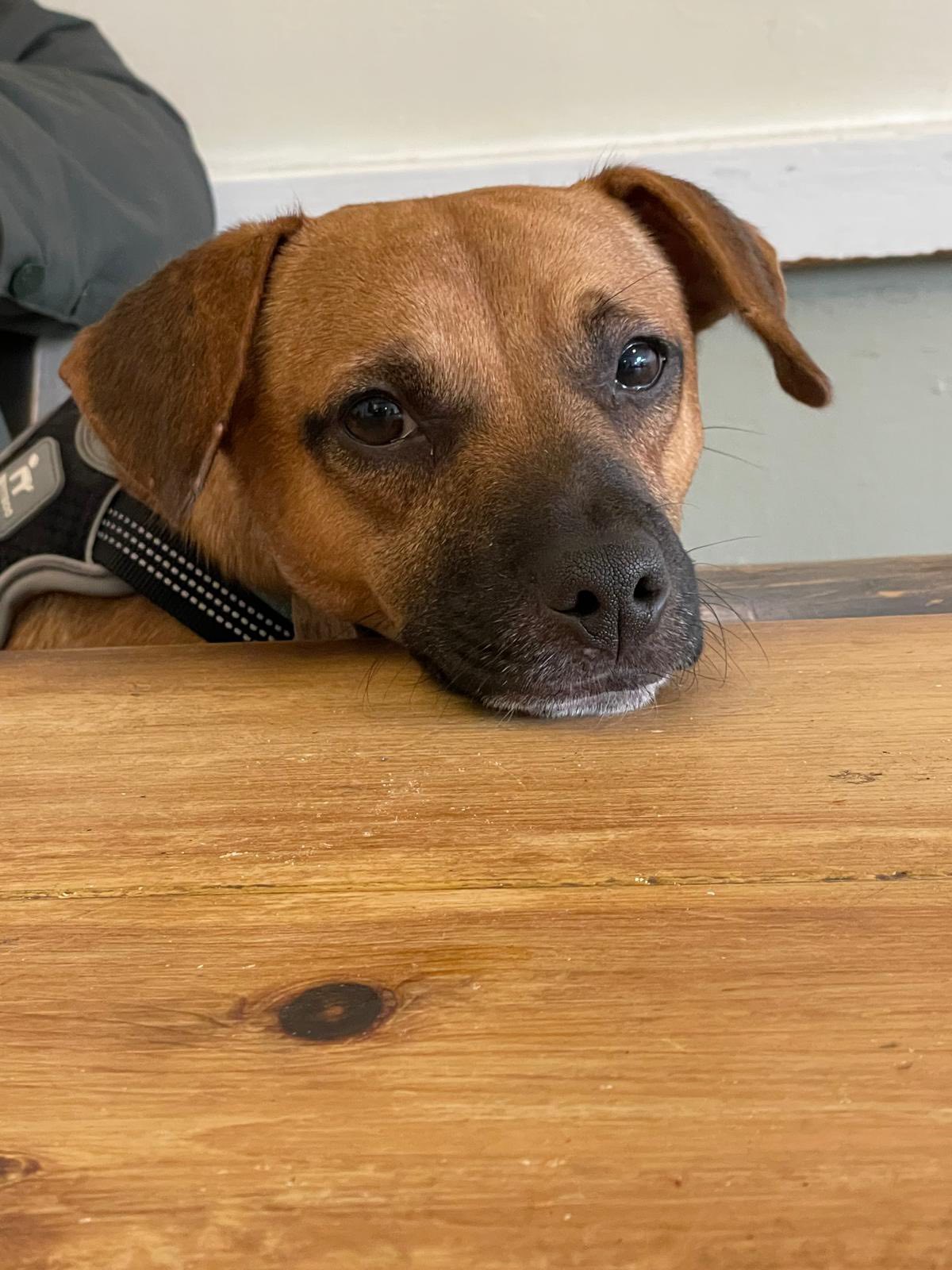 571200402_1474844077462233_810922694712412097_n