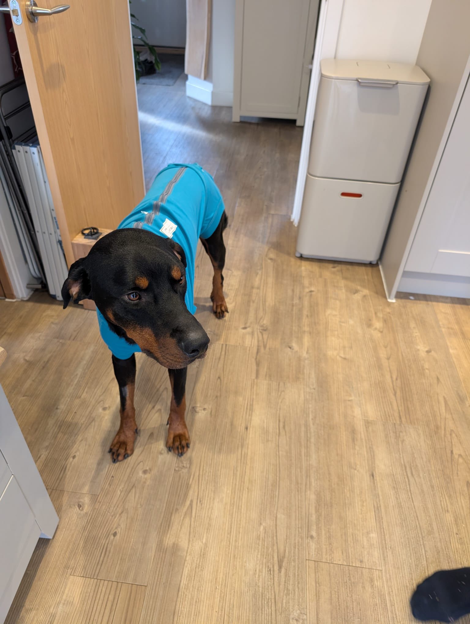 571207193_1472867967659844_1364548015169871810_n