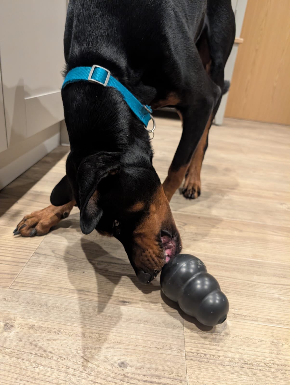 571356837_1472867910993183_3990597478158541638_n