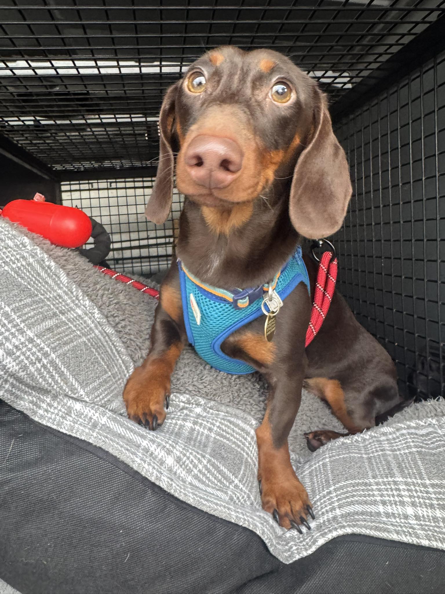 571657021_1470283454584962_4531340471620631605_n