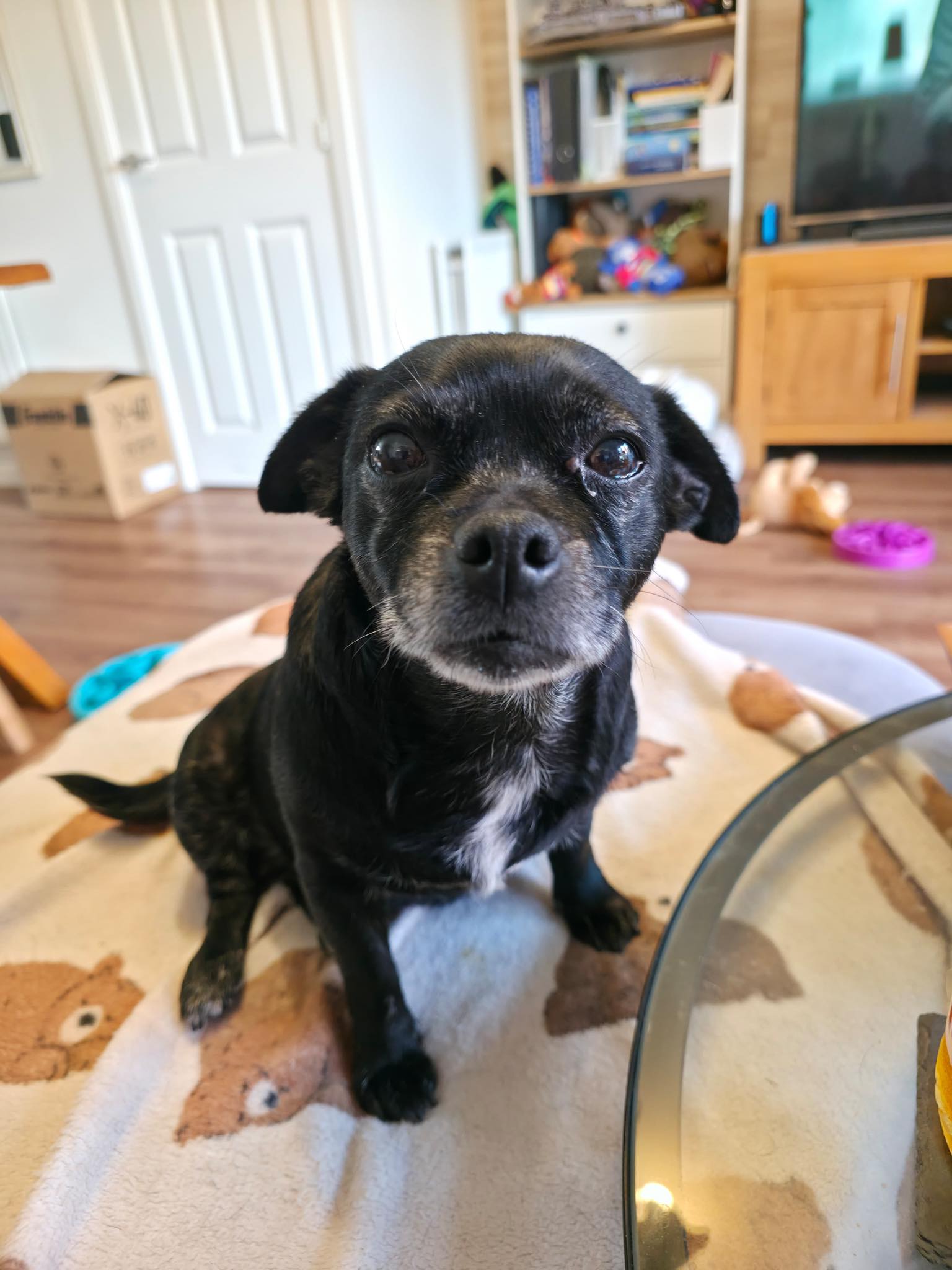 571770471_1475032864110021_1532647042743216031_n