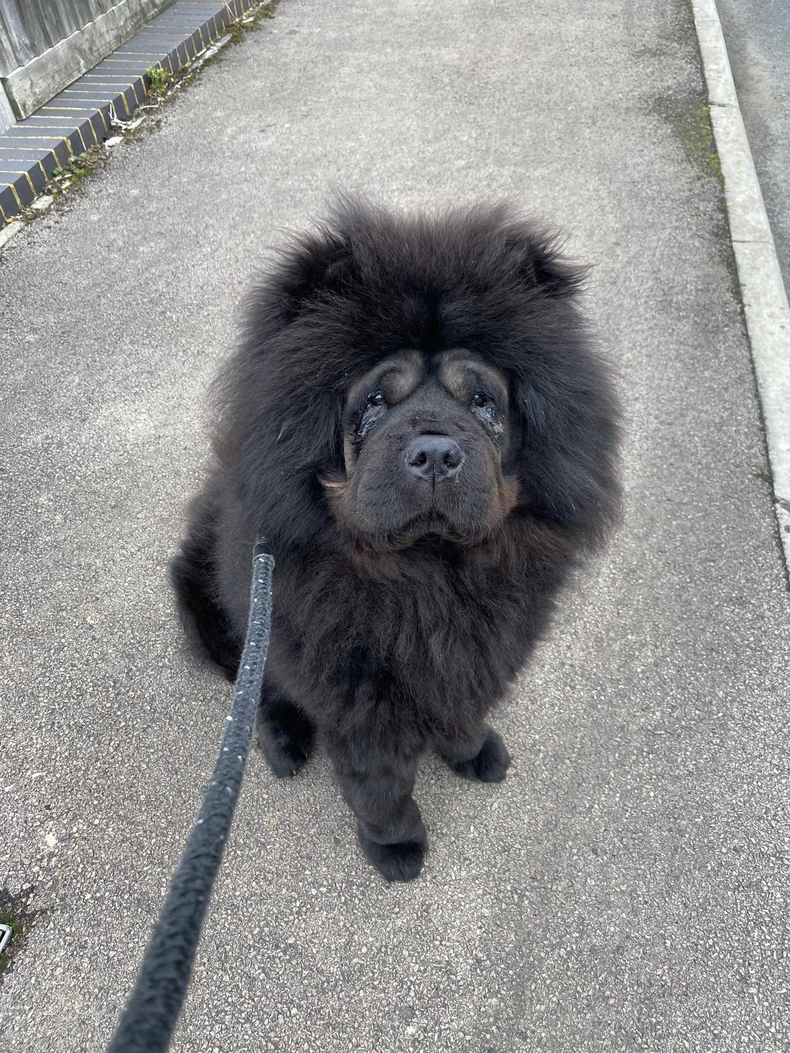 572328812_1476612067285434_1589724749532469410_n