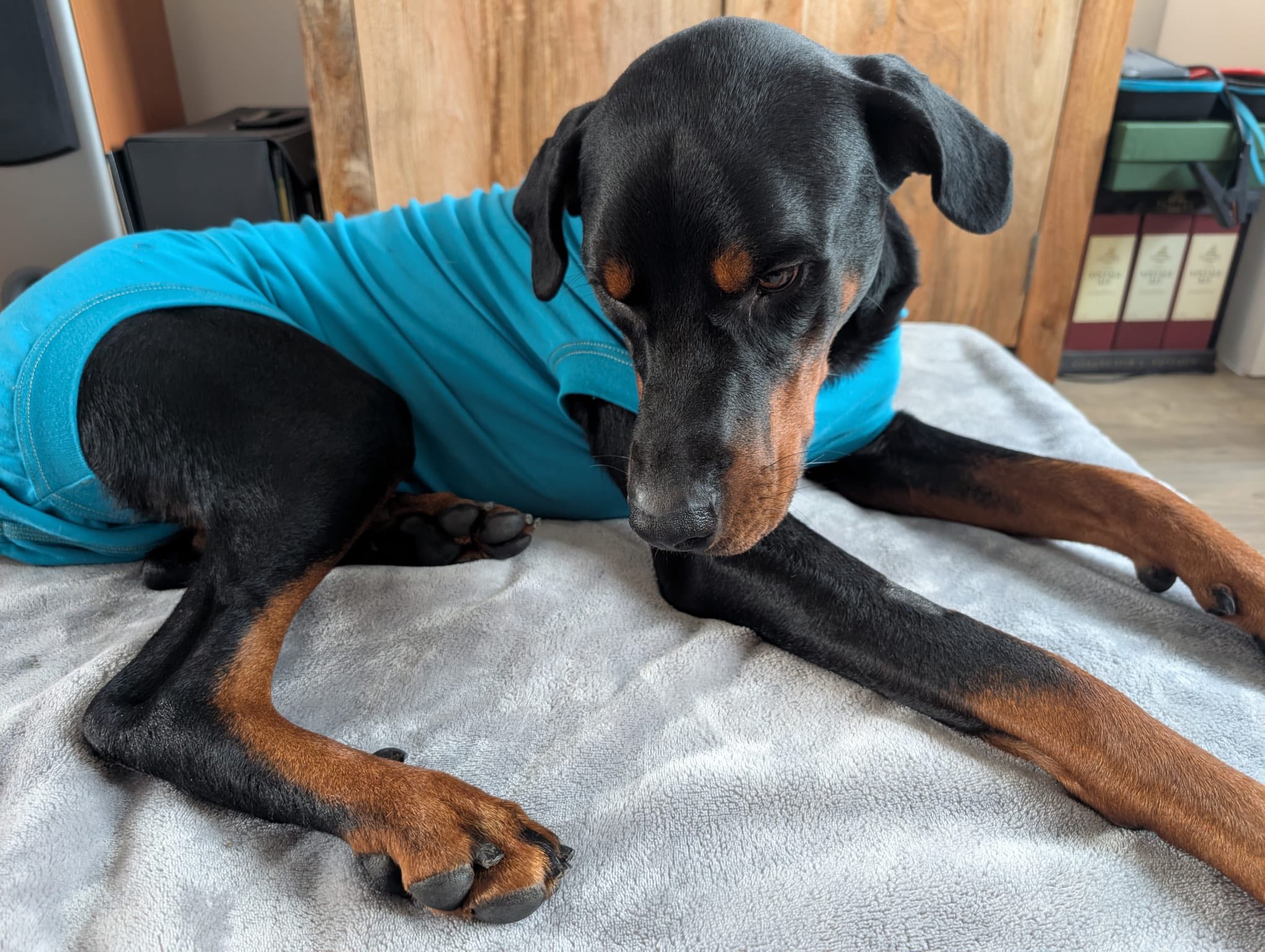 572383977_1472239127722728_2659553962209736758_n