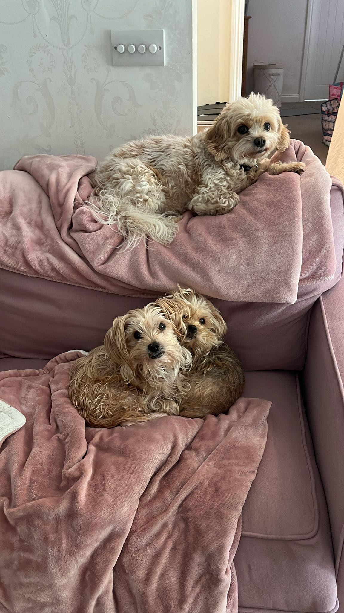 572786554_1474140707532570_2735649474195028473_n