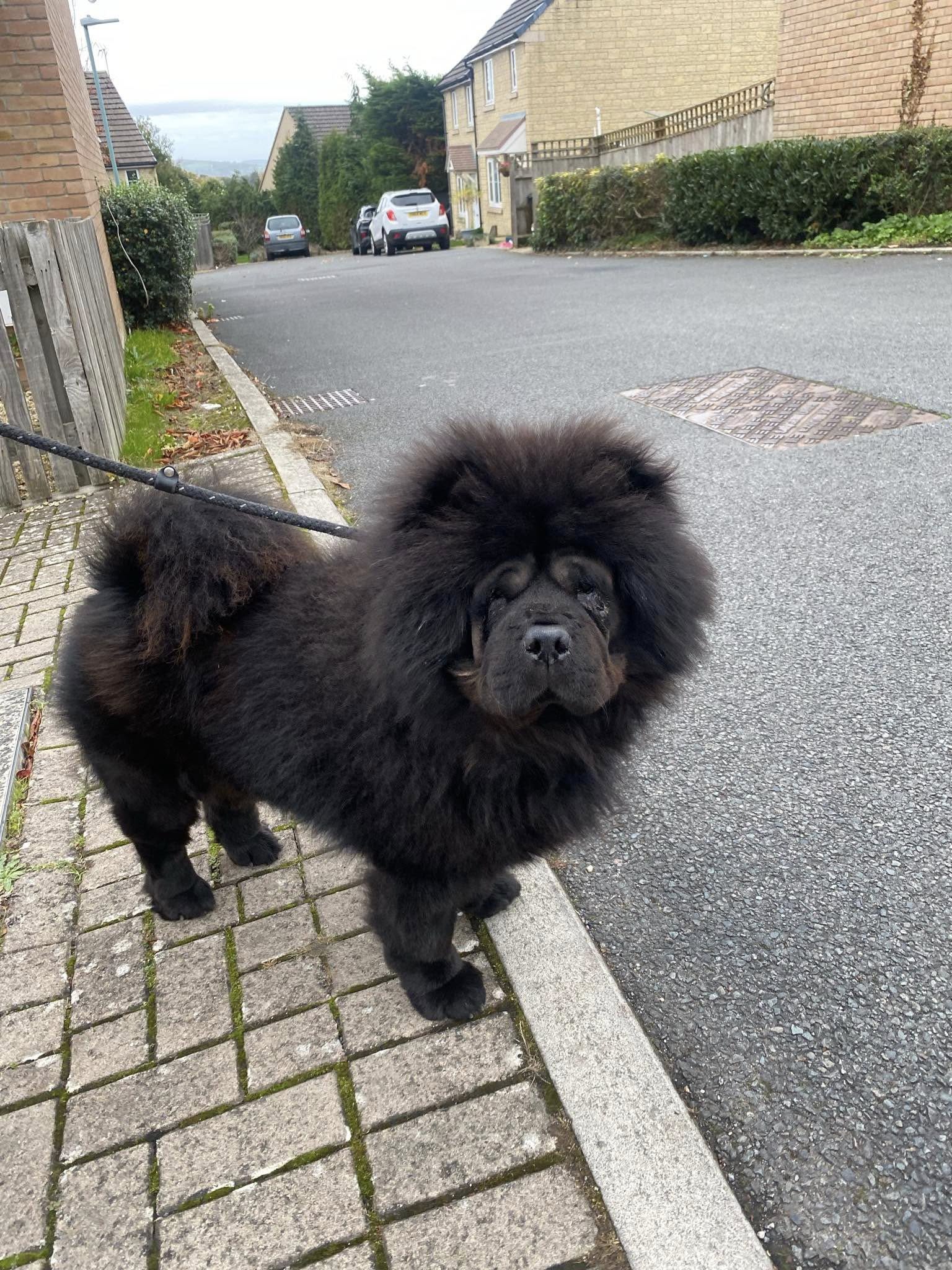 573598495_1476612080618766_3649343789986852509_n