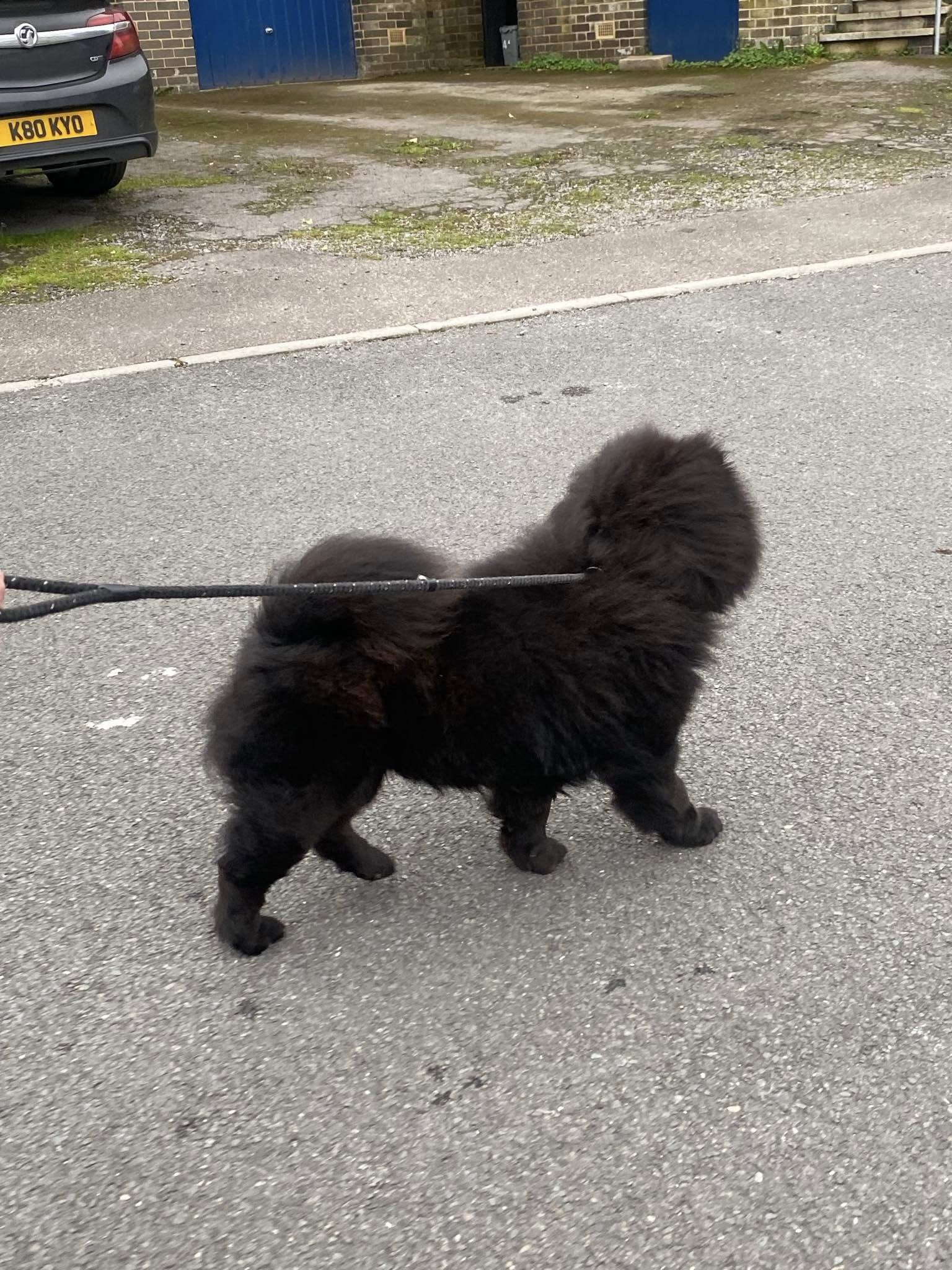 573968892_1476612127285428_7349625434438282820_n