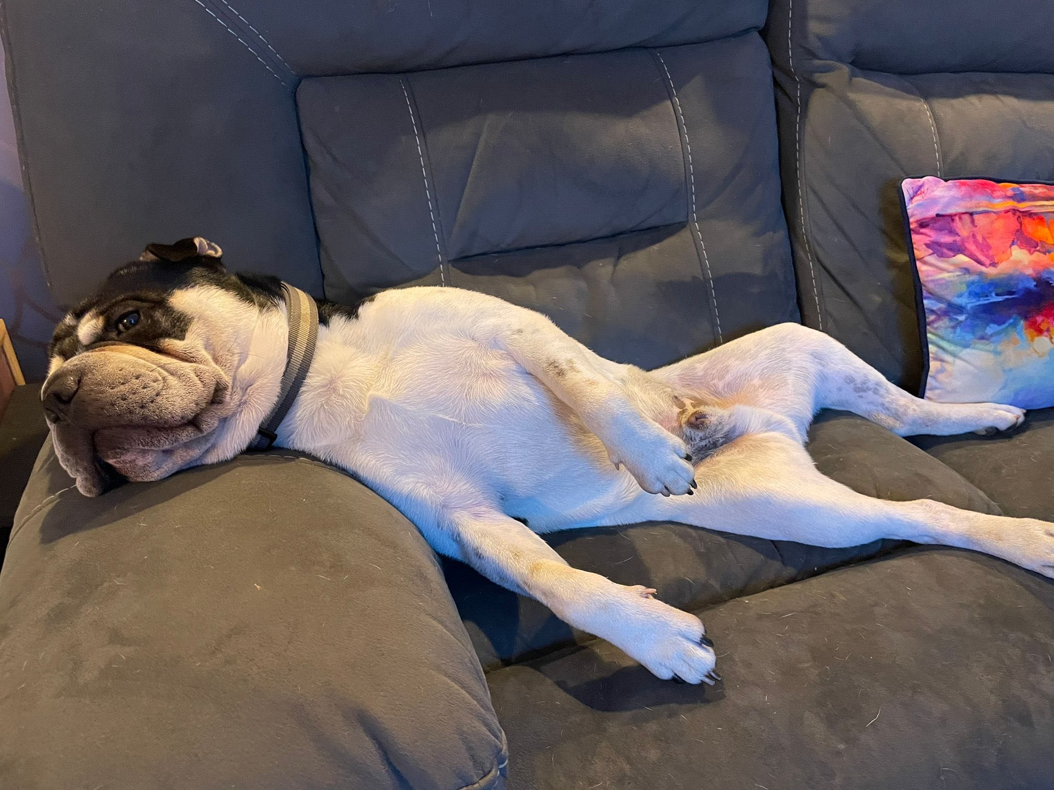 574928668_1482363583376949_4012051197376506596_n