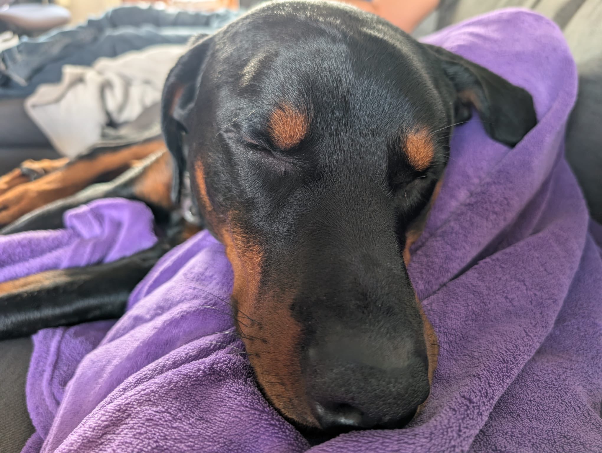 575167019_1479829816963659_8743410802852633921_n