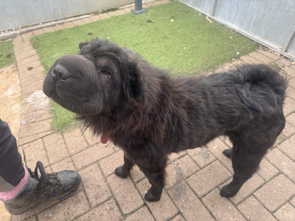 576528251_1482581853355122_6710235254386182159_n