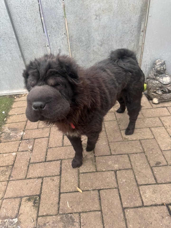 576536632_1482581646688476_5080302698733309697_n