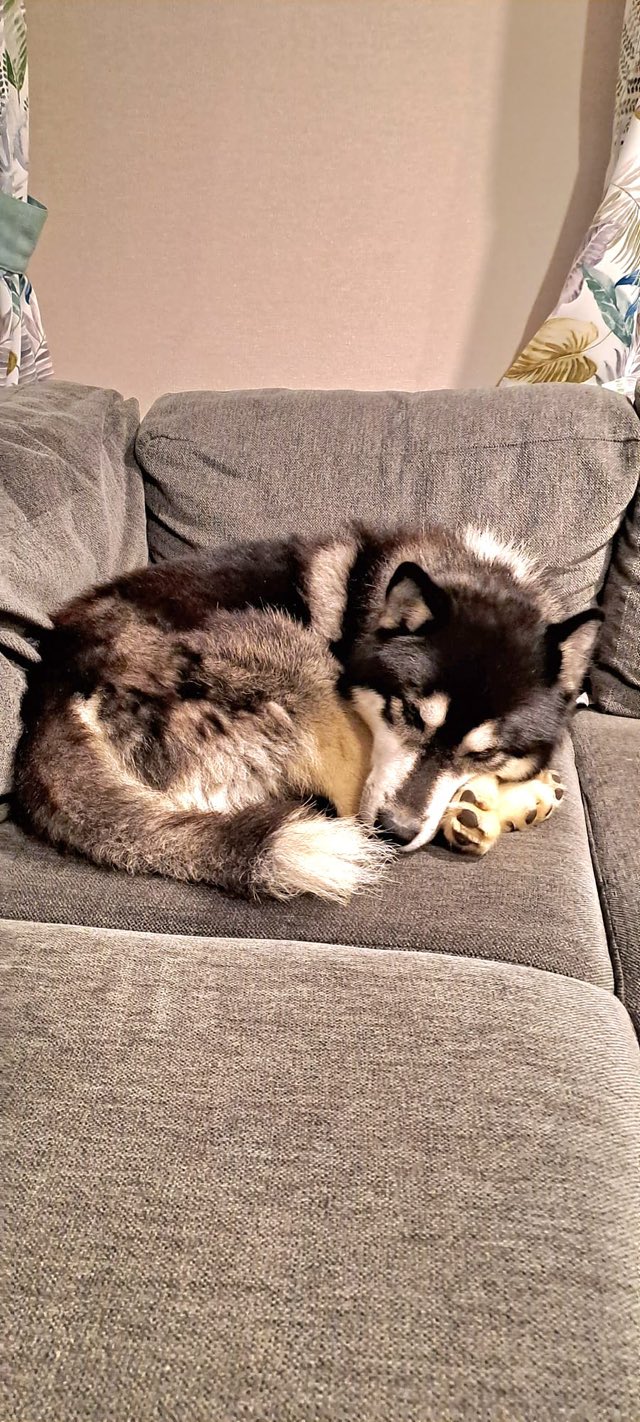 576802341_1484652326481408_2745822503252525719_n