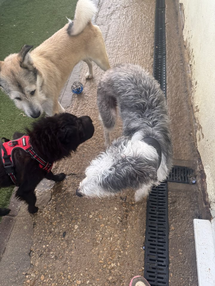 576833213_1482581630021811_1748960141475712067_n