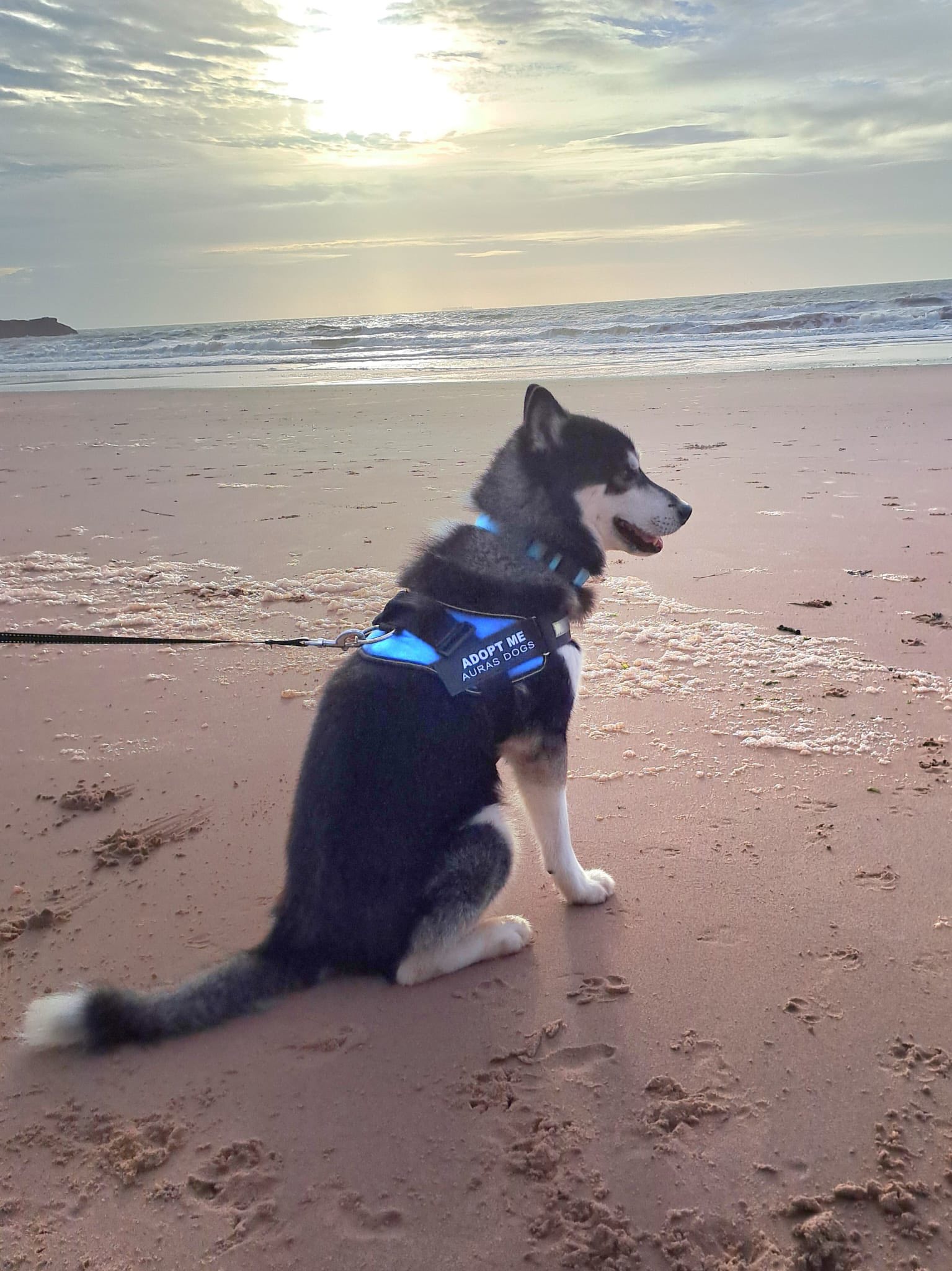 577779085_1484653833147924_1254411690158068894_n