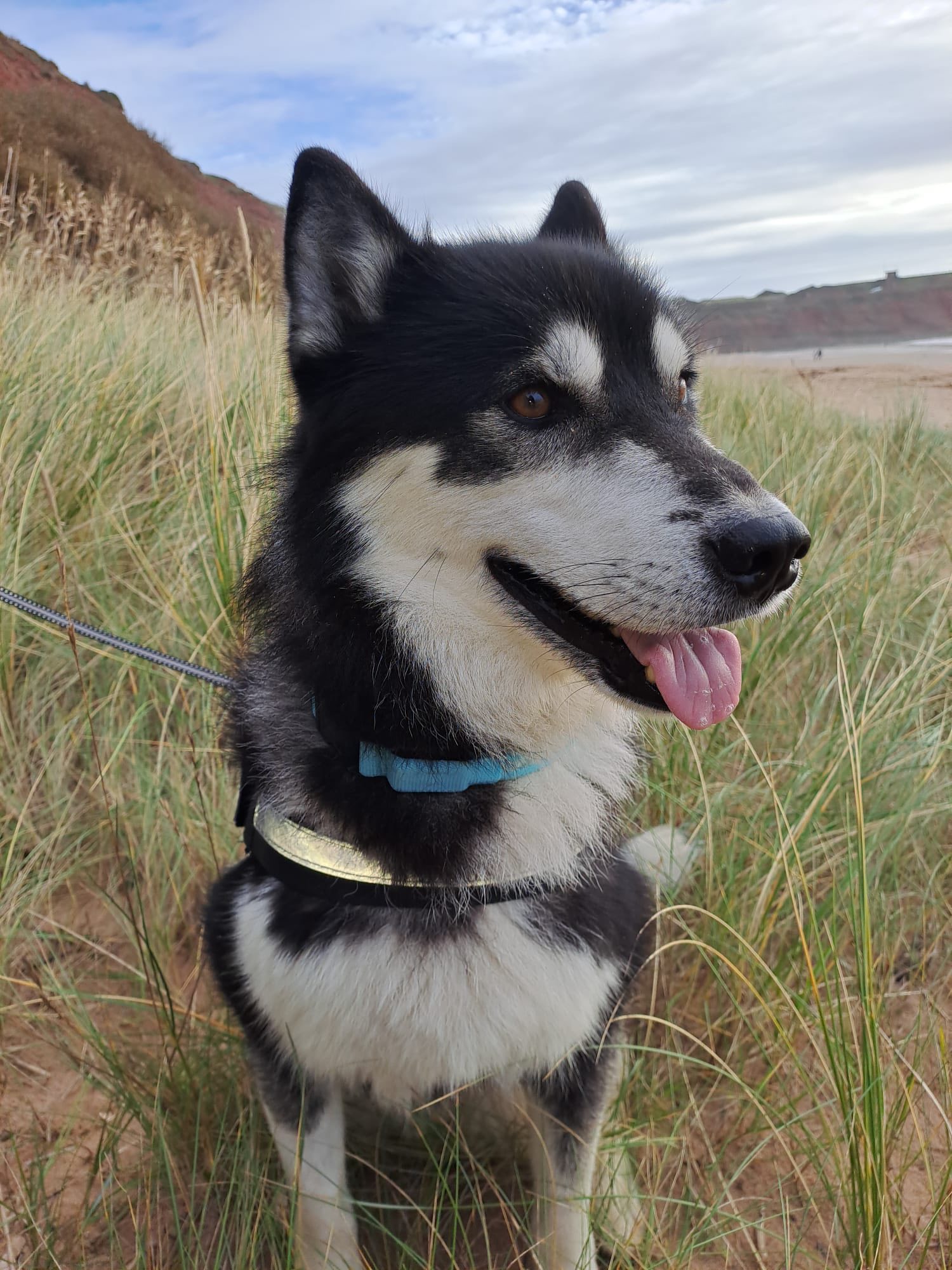 577808408_1484653693147938_4760406899481994041_n