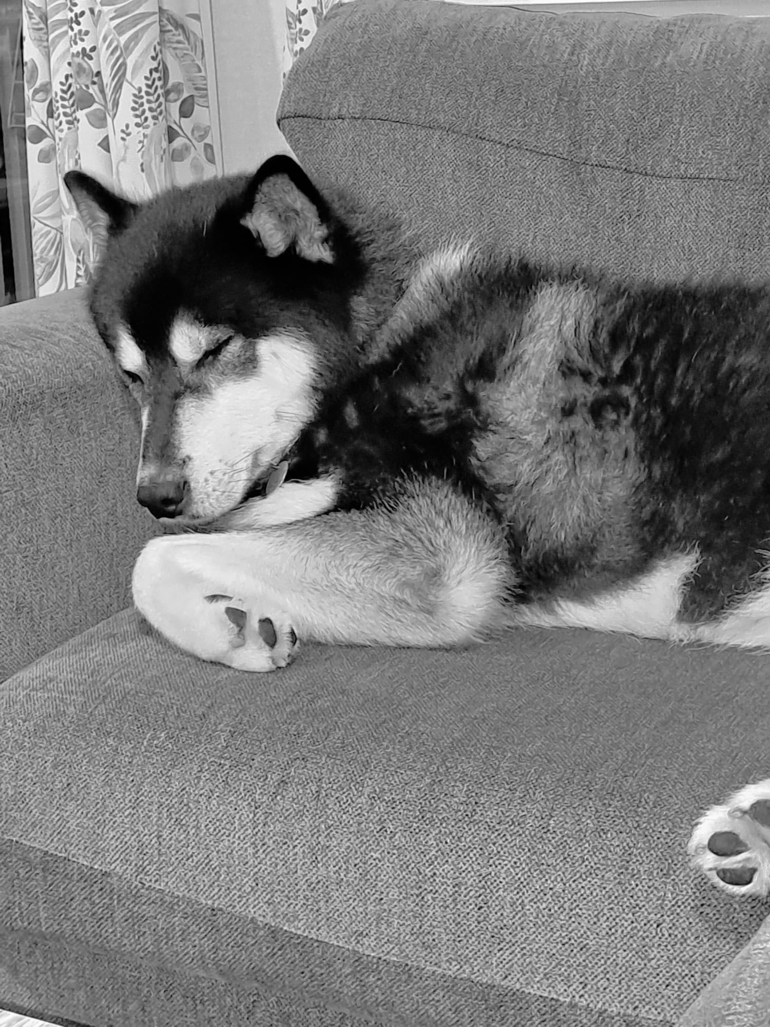 577830671_1484653759814598_4395388815909313537_n