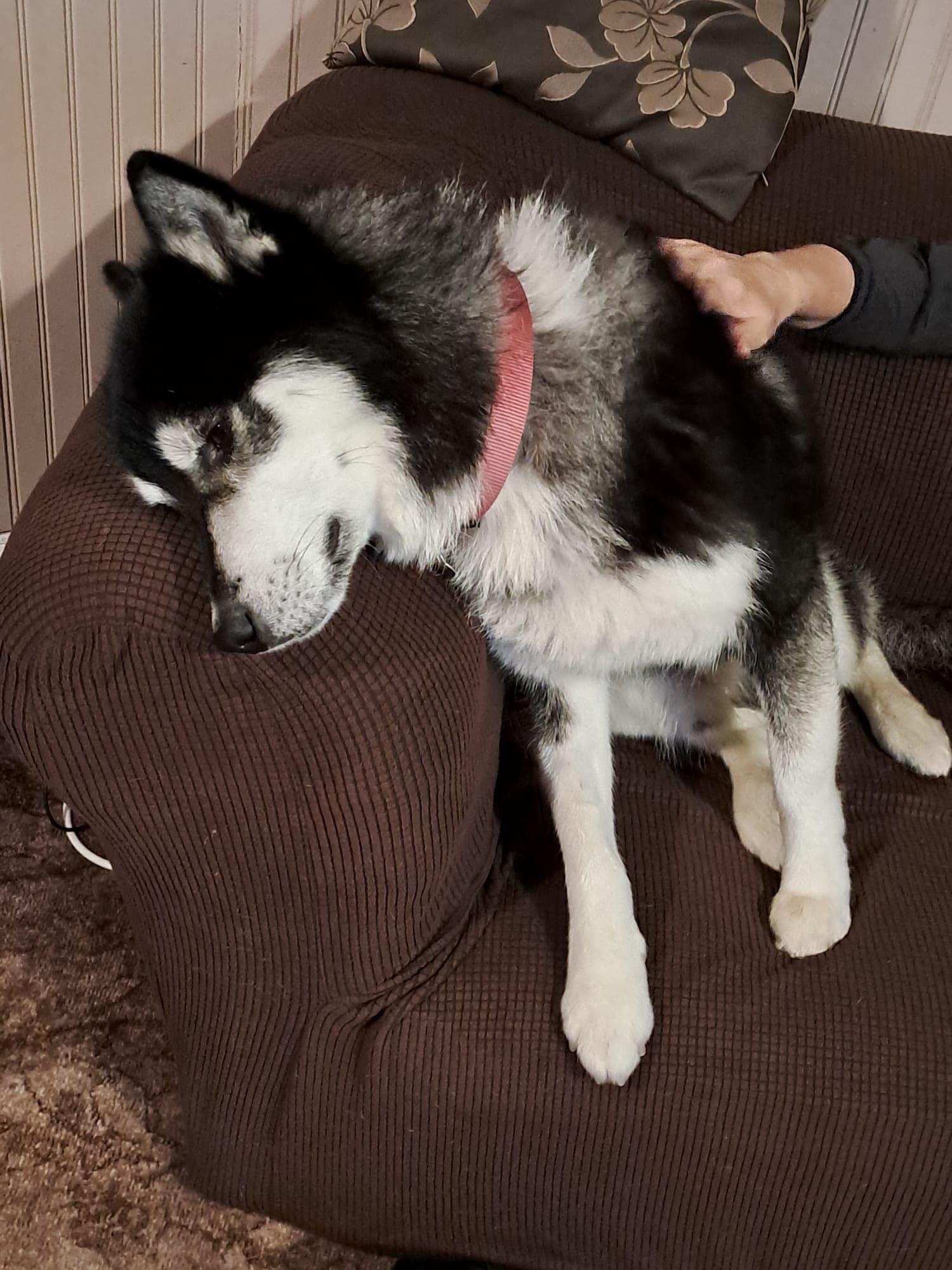 577834202_1484653879814586_1793391640902874913_n