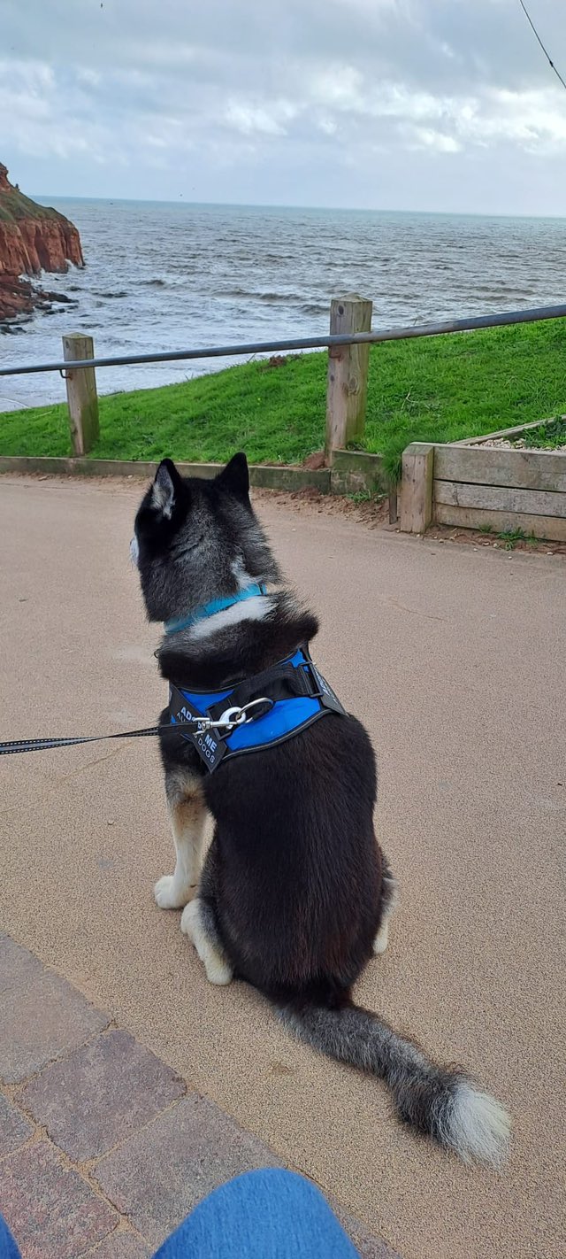 578767994_1484652379814736_523919180928467816_n