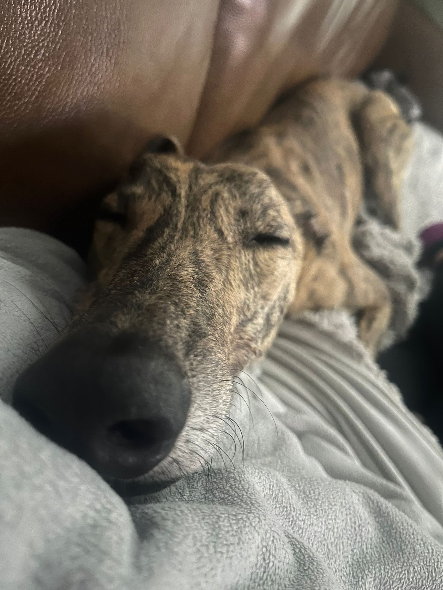 578941066_1486199836326657_8829669540536600759_n