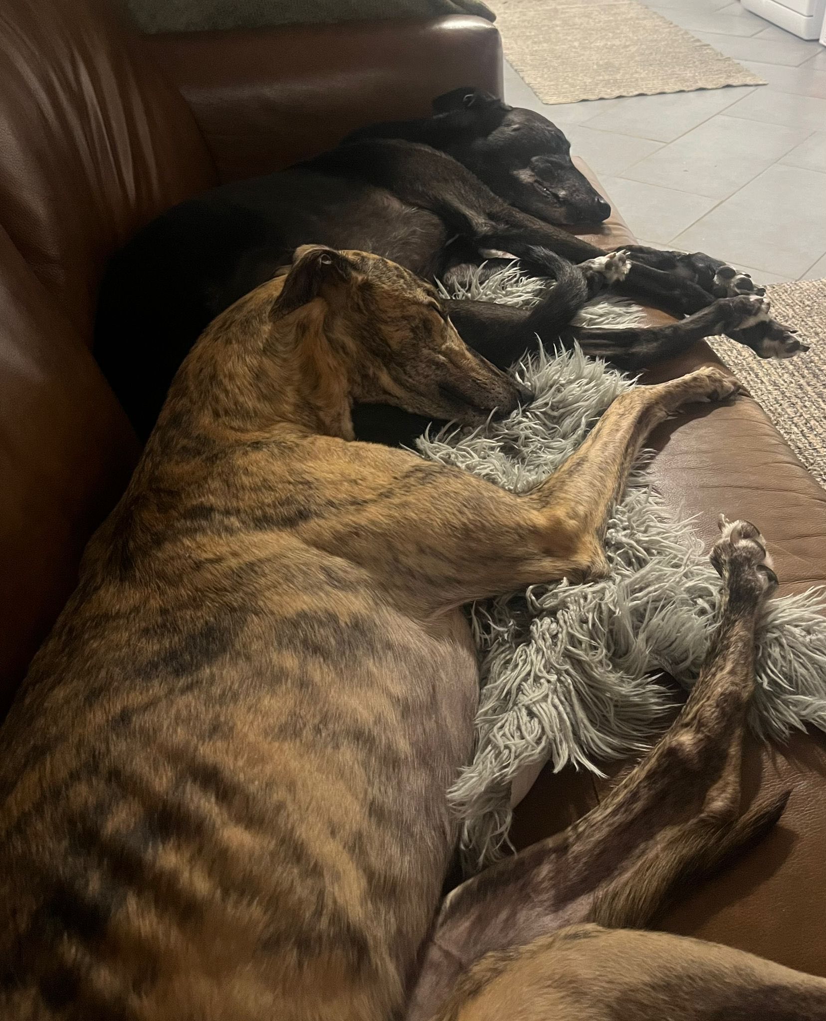 579167790_1486199816326659_3429487851950057656_n